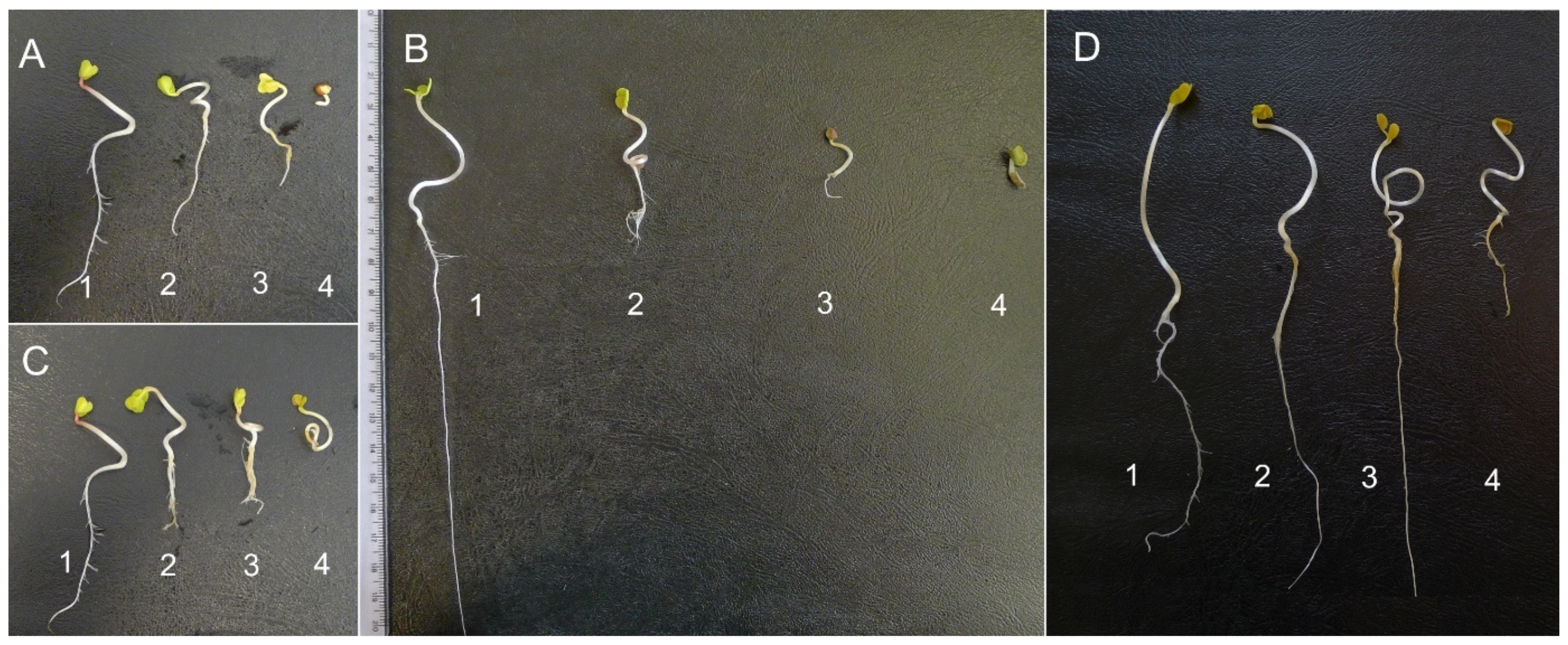 Plants 10 01806 g007 Plants 10 01806 g007