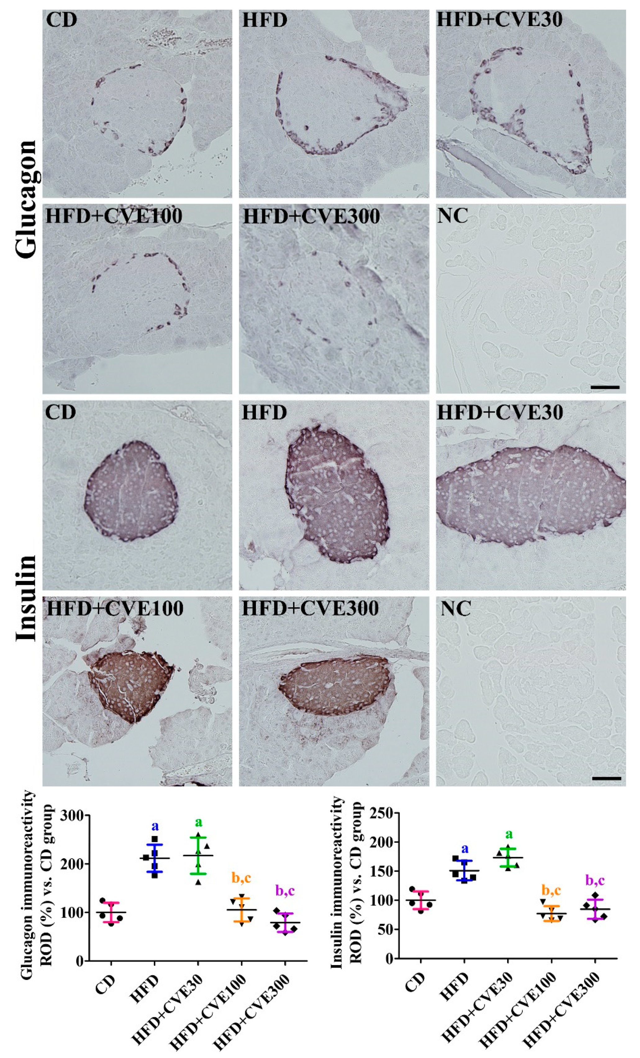 Plants 10 01814 g003
