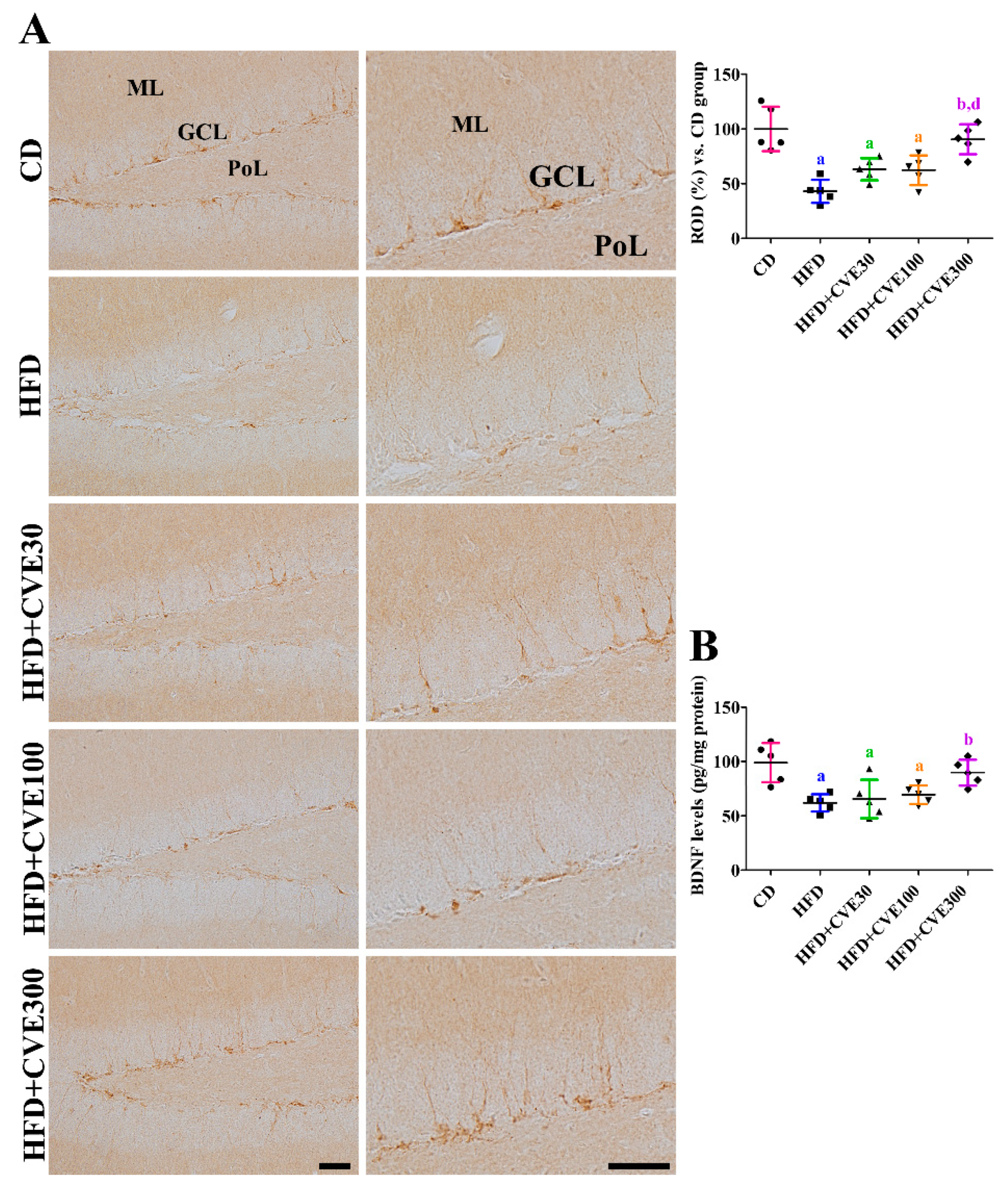 Plants 10 01814 g005