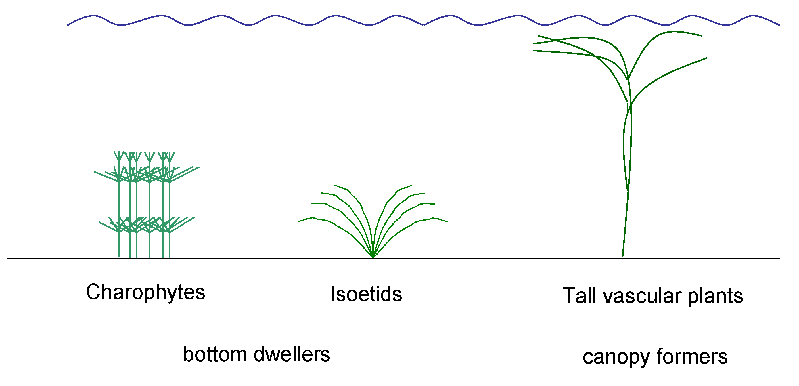 Plants 10 01830 g001