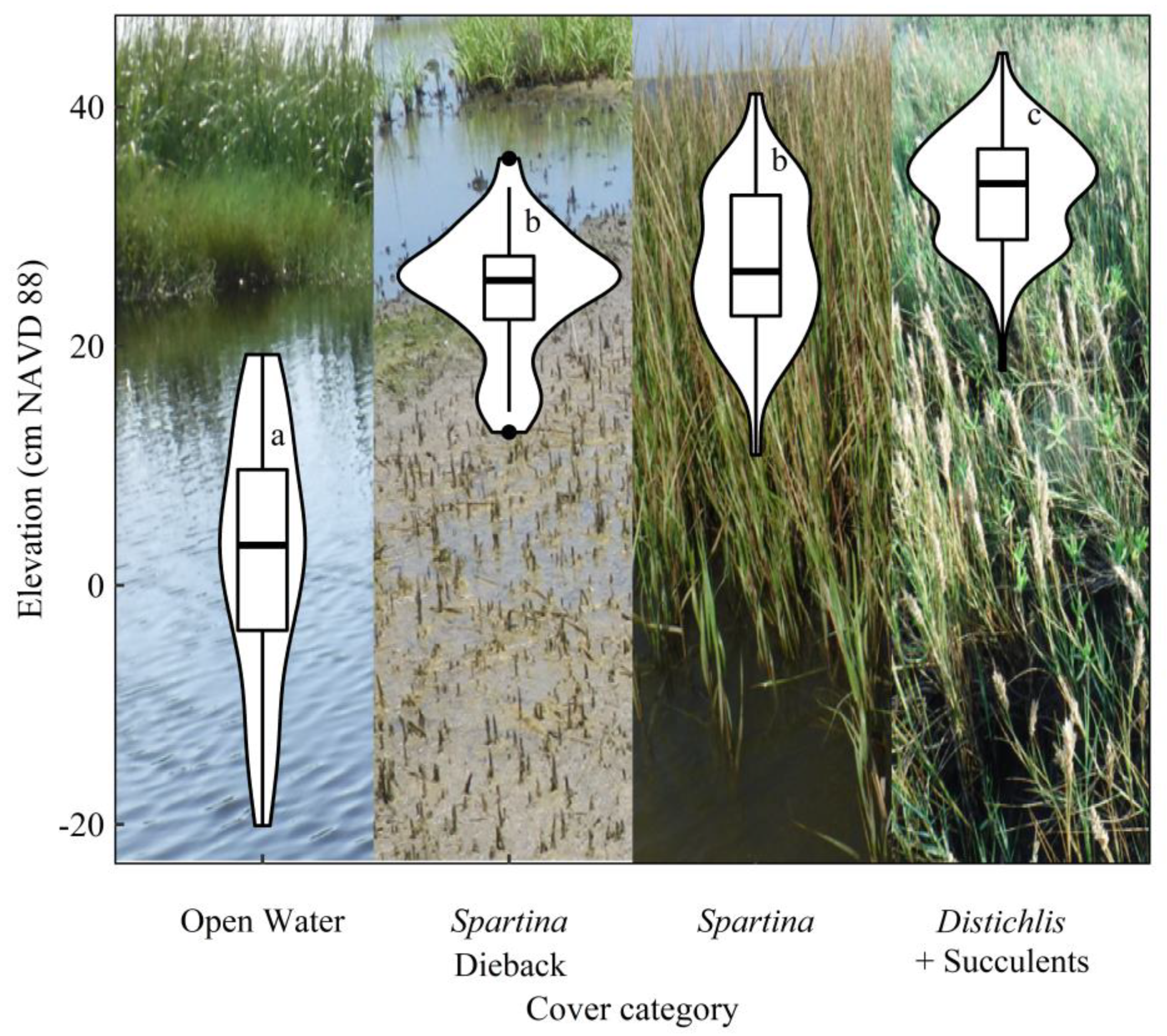 Plants 10 01841 g002