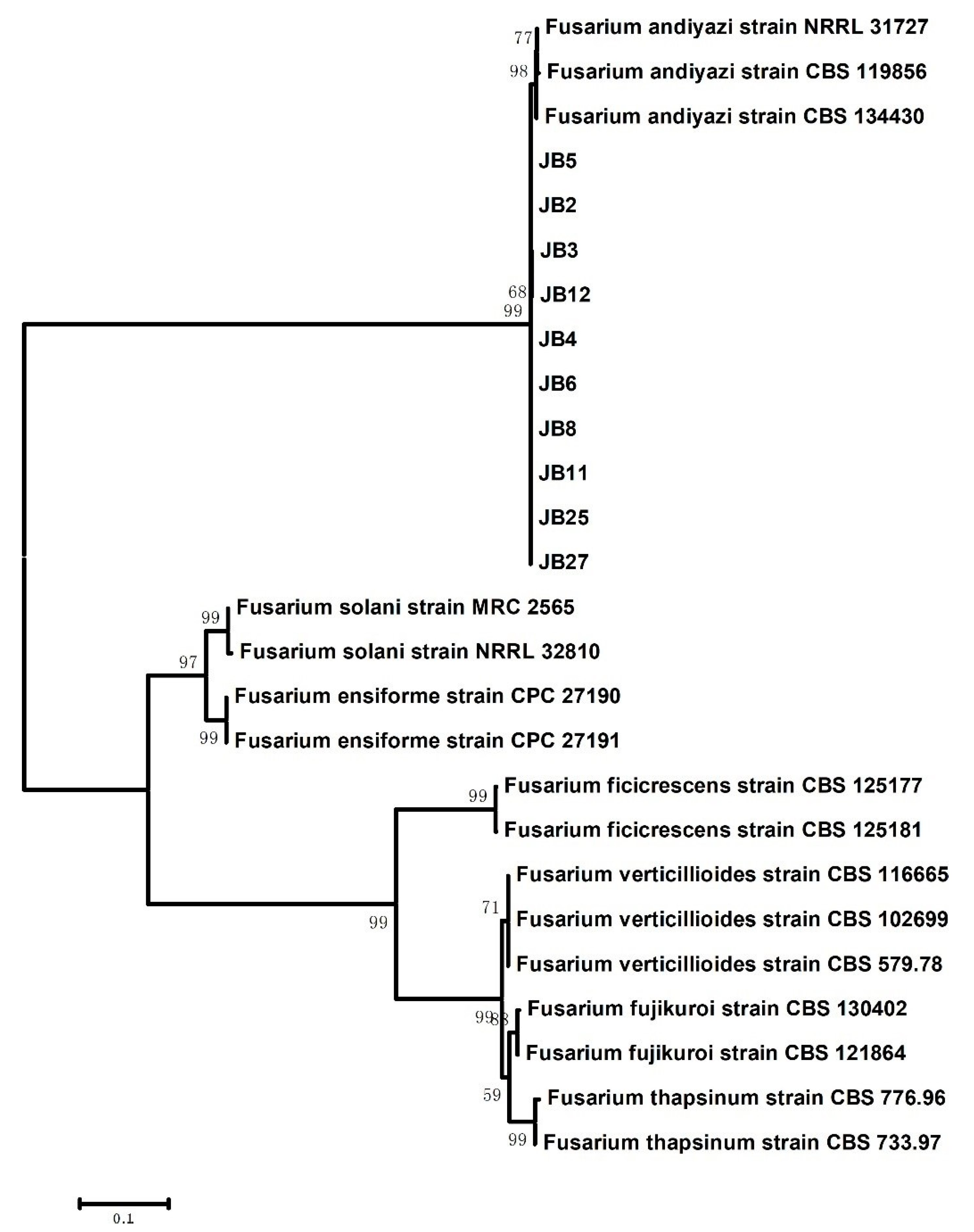 Plants 10 01844 g002