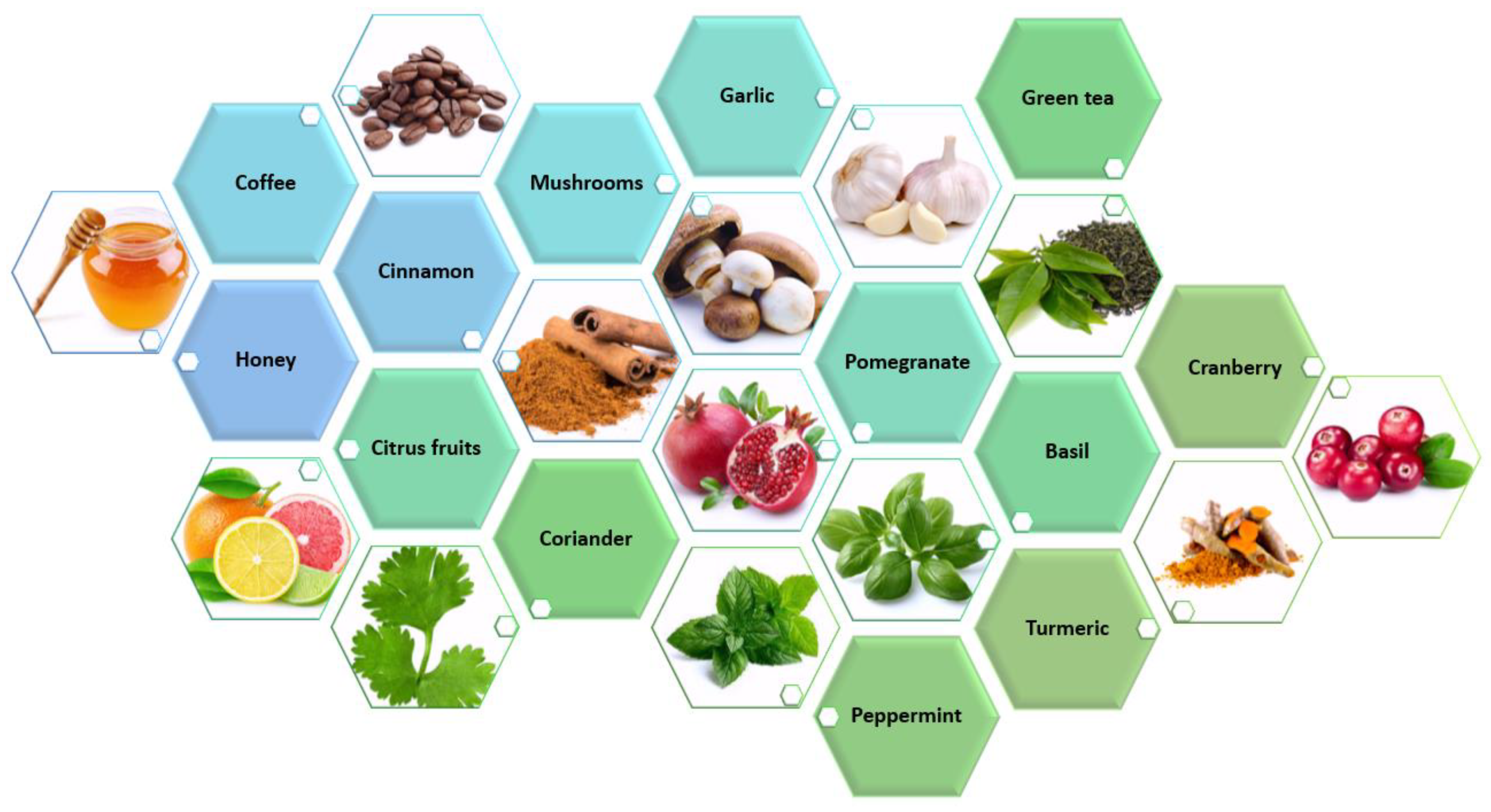 Plants 10 01847 g004 Plants 10 01847 g004