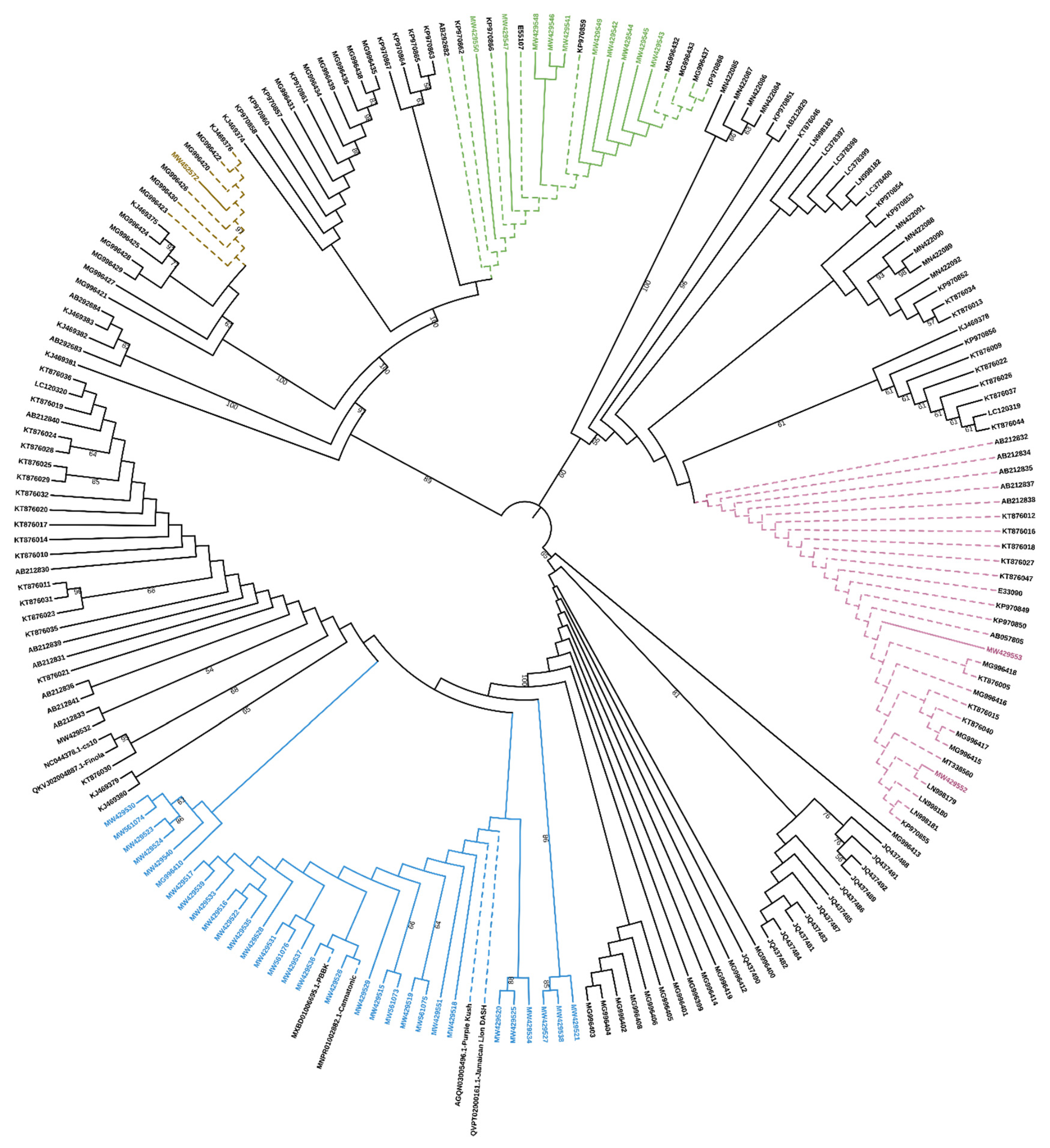 Plants 10 01857 g001