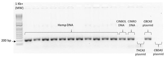 Plants 10 01857 g0a3 550