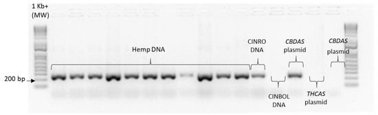 Plants 10 01857 g0a4 550