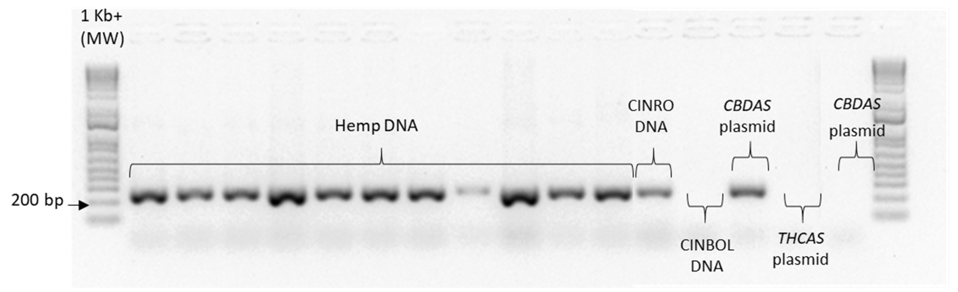 Plants 10 01857 g0a4