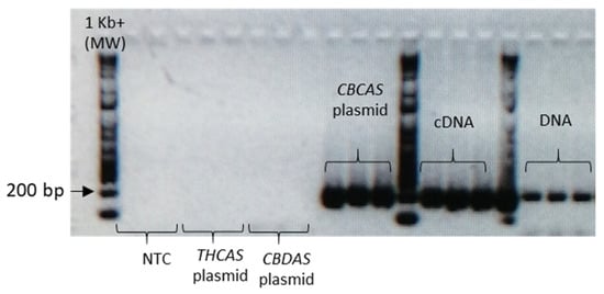Plants 10 01857 g0a5 550