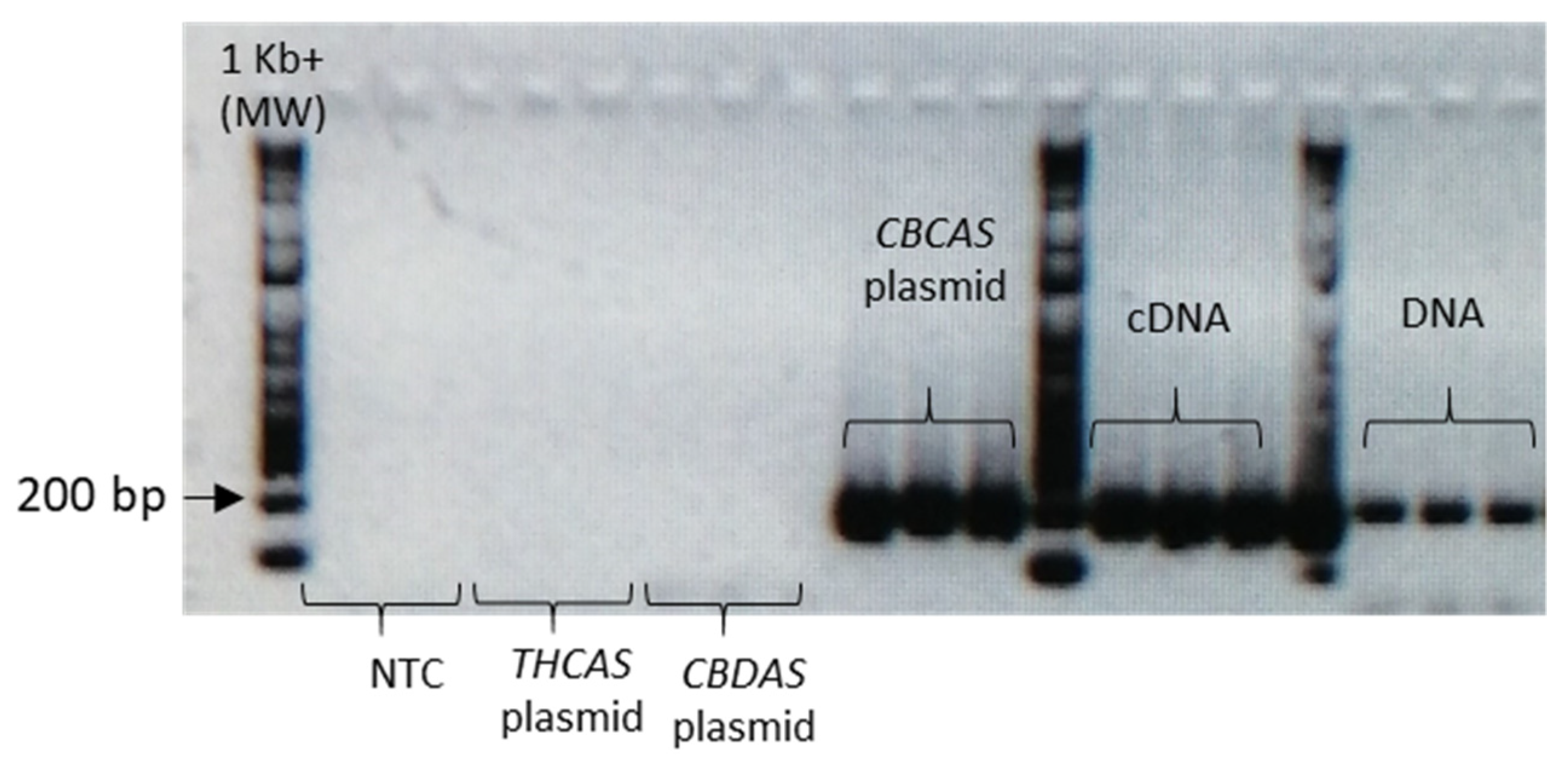 Plants 10 01857 g0a5