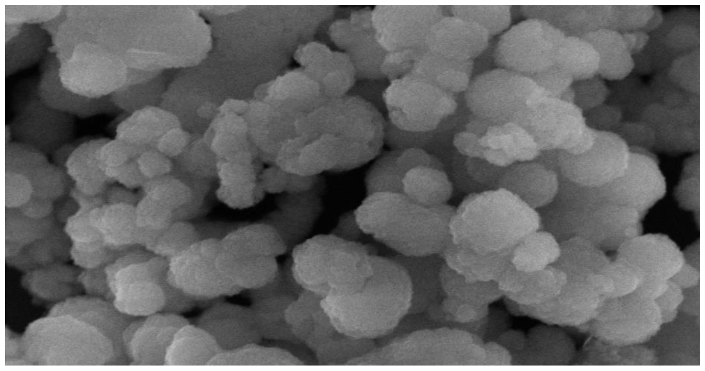 Plants 10 01858 g003