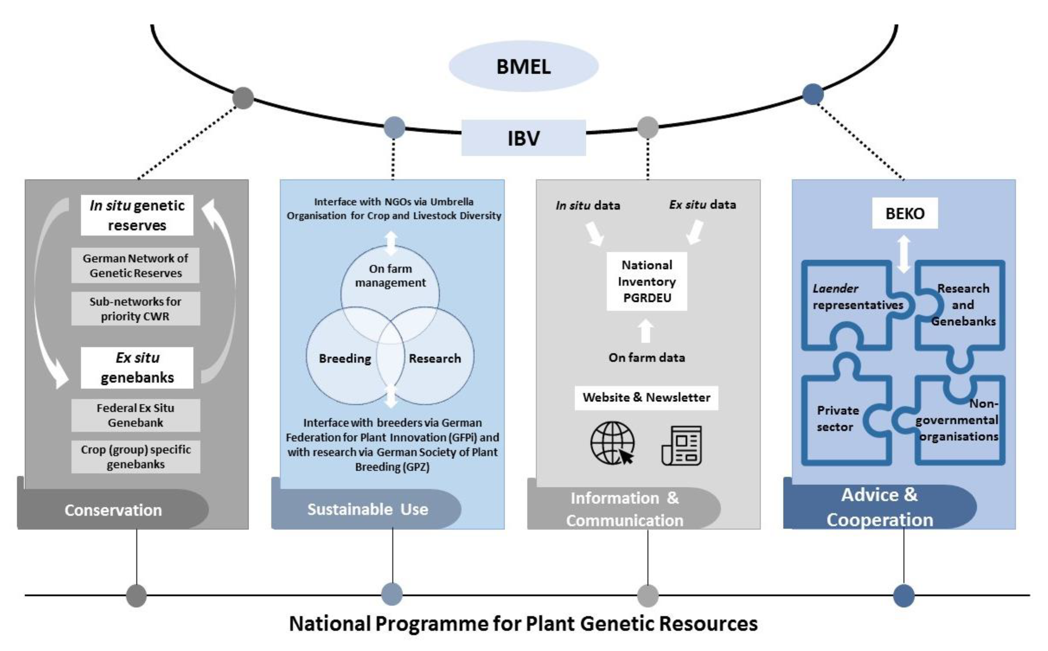 Plants 10 01869 g003