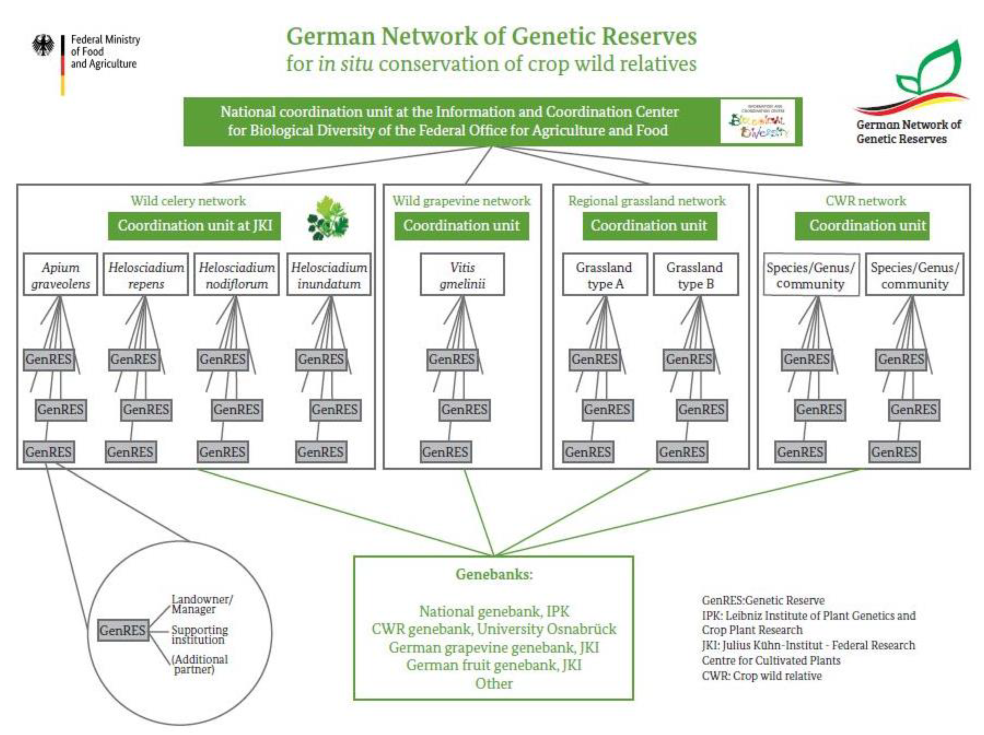 Plants 10 01869 g004