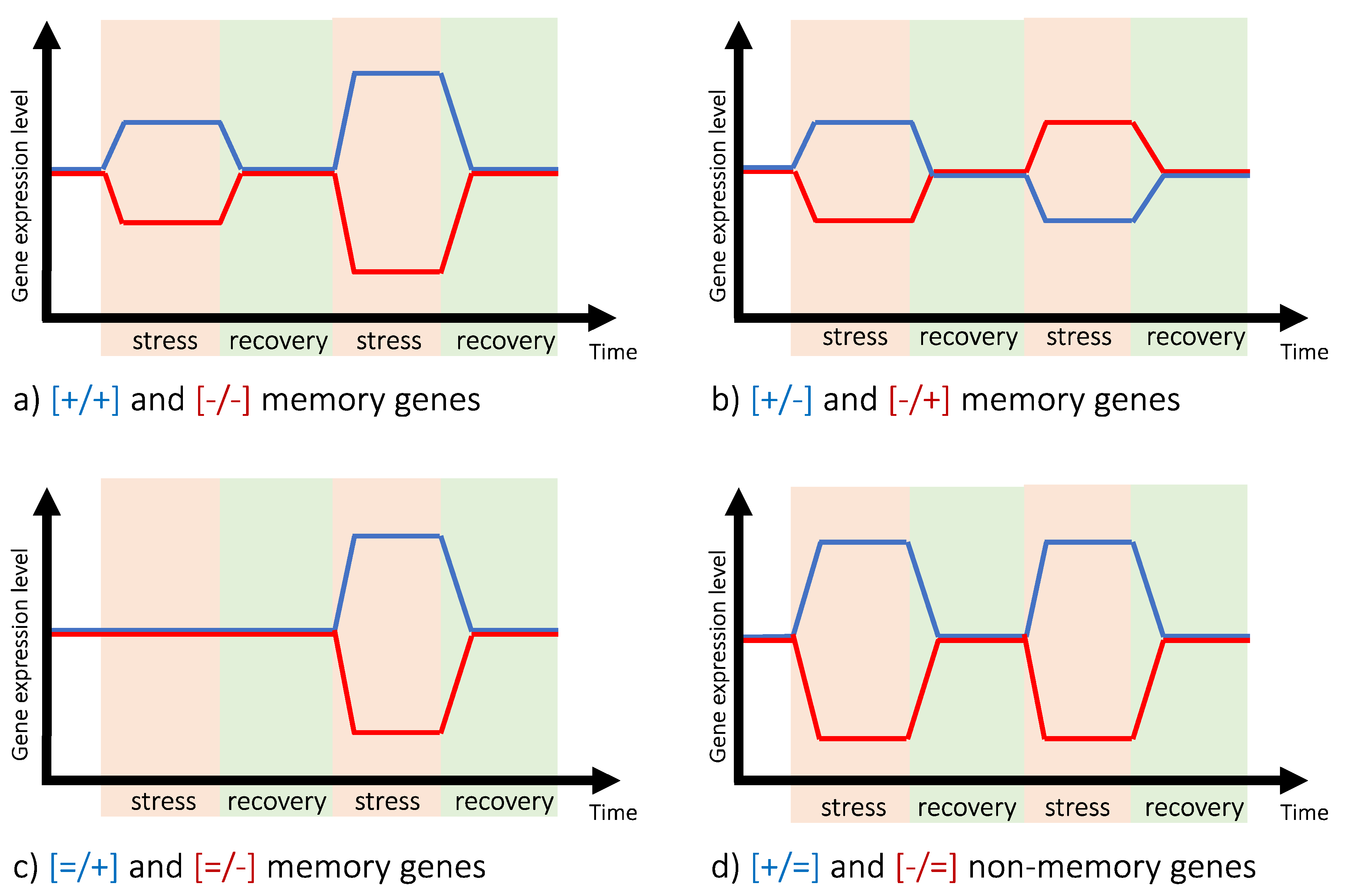 Plants 10 01873 g001