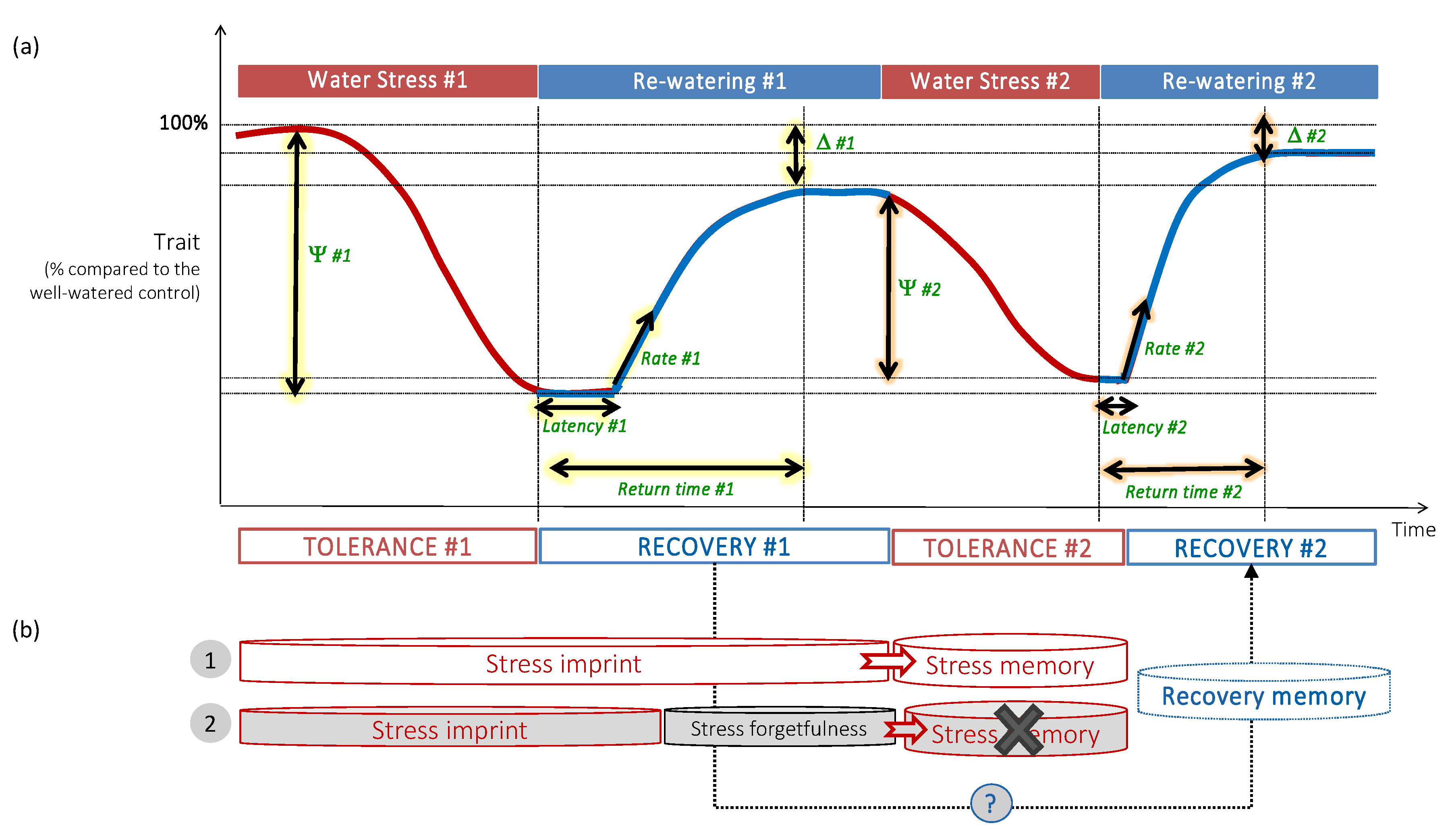 Plants 10 01873 g003