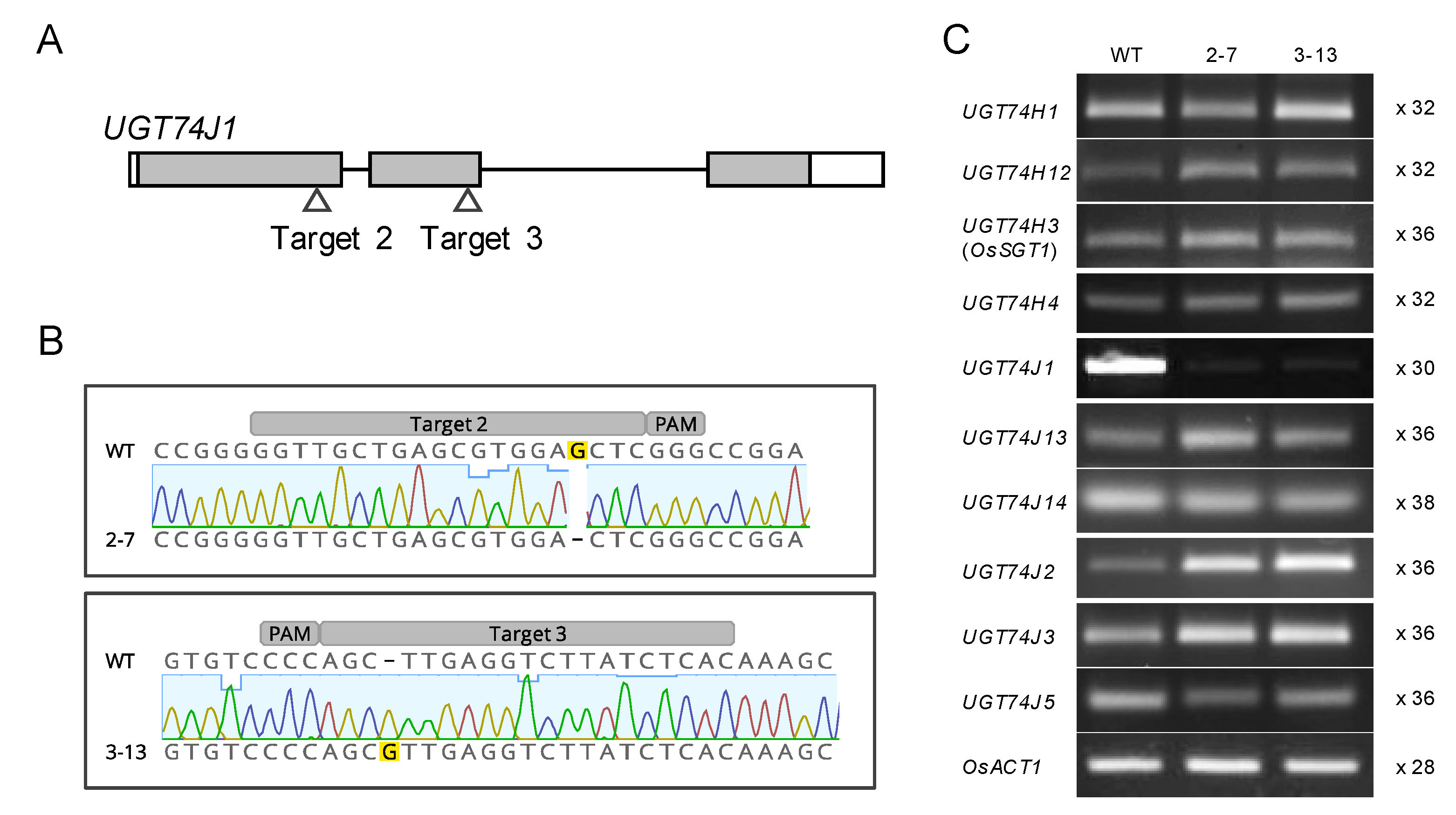 Plants 10 01875 g003