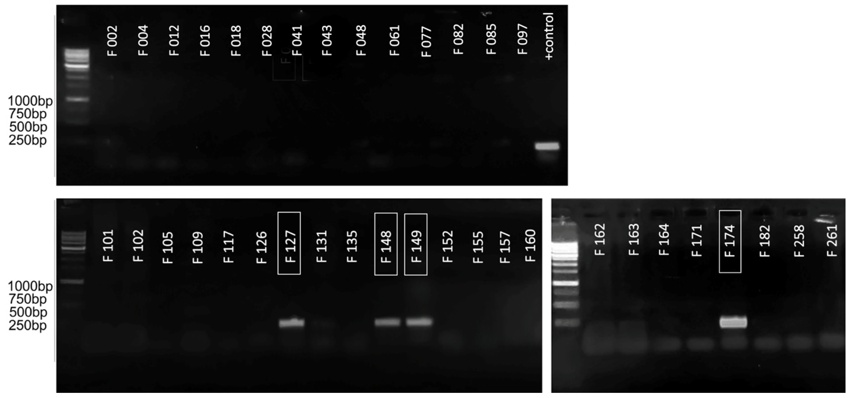 Plants 10 01880 g003 Plants 10 01880 g003