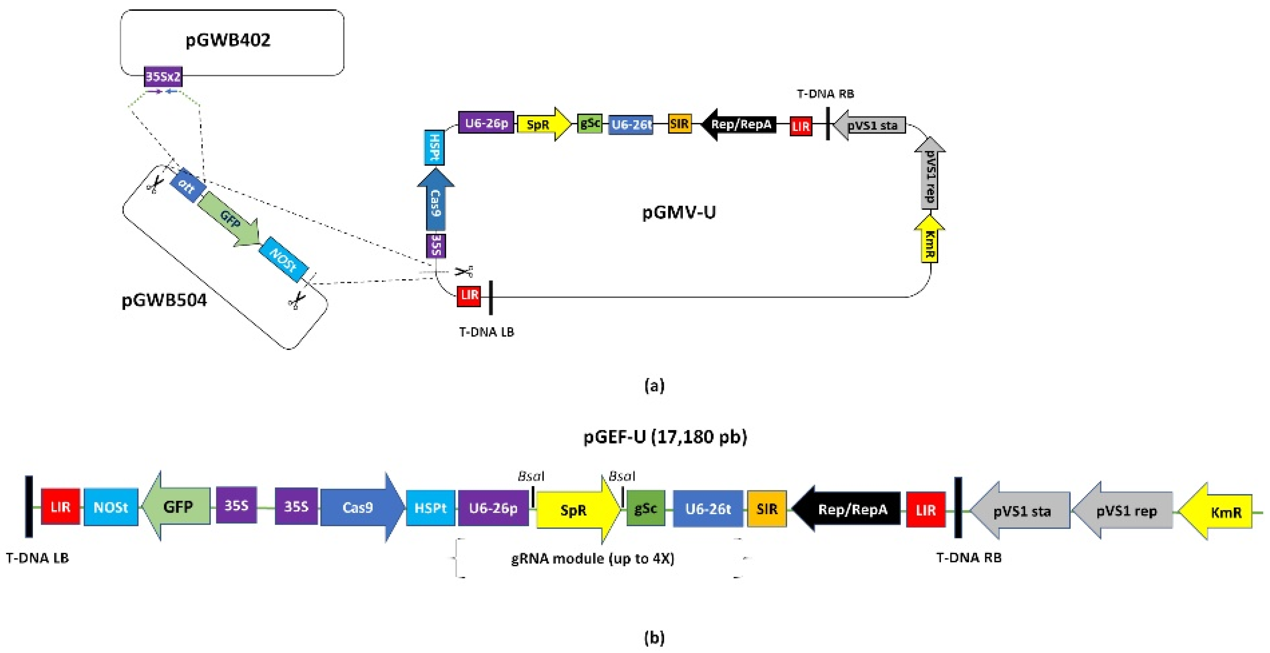 Plants 10 01882 g001
