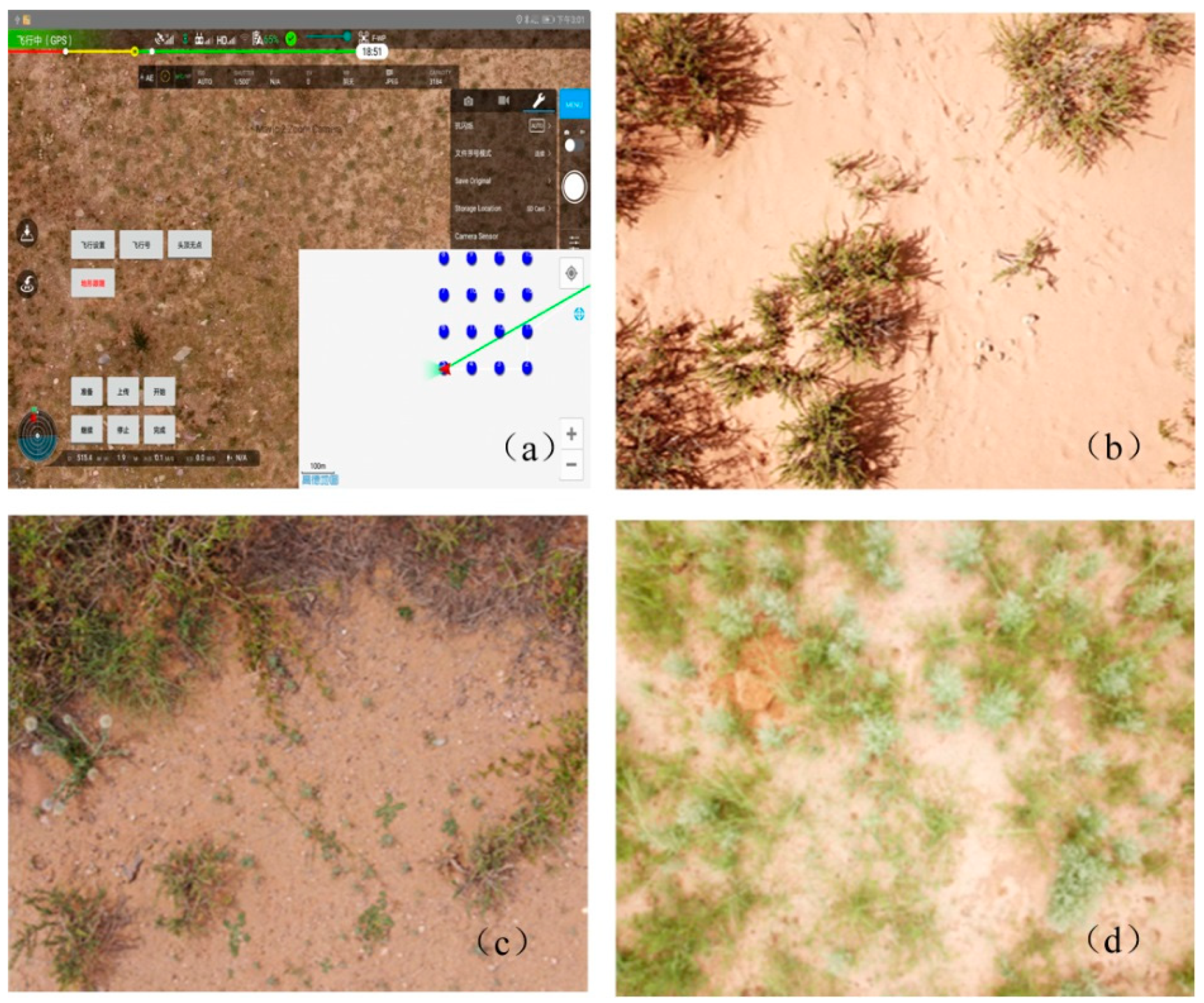 Plants 10 01890 g002