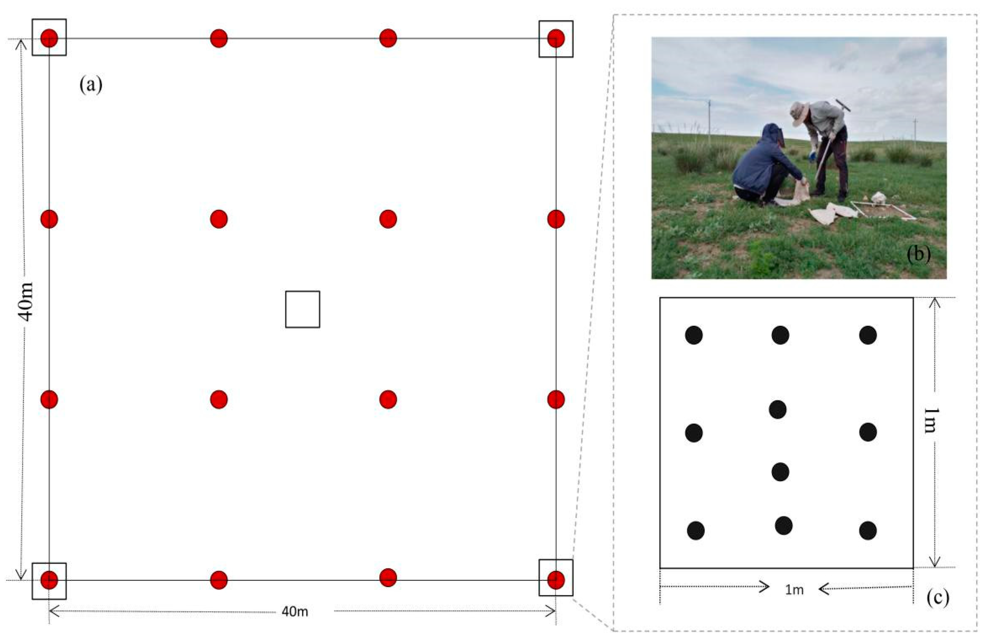Plants 10 01890 g003
