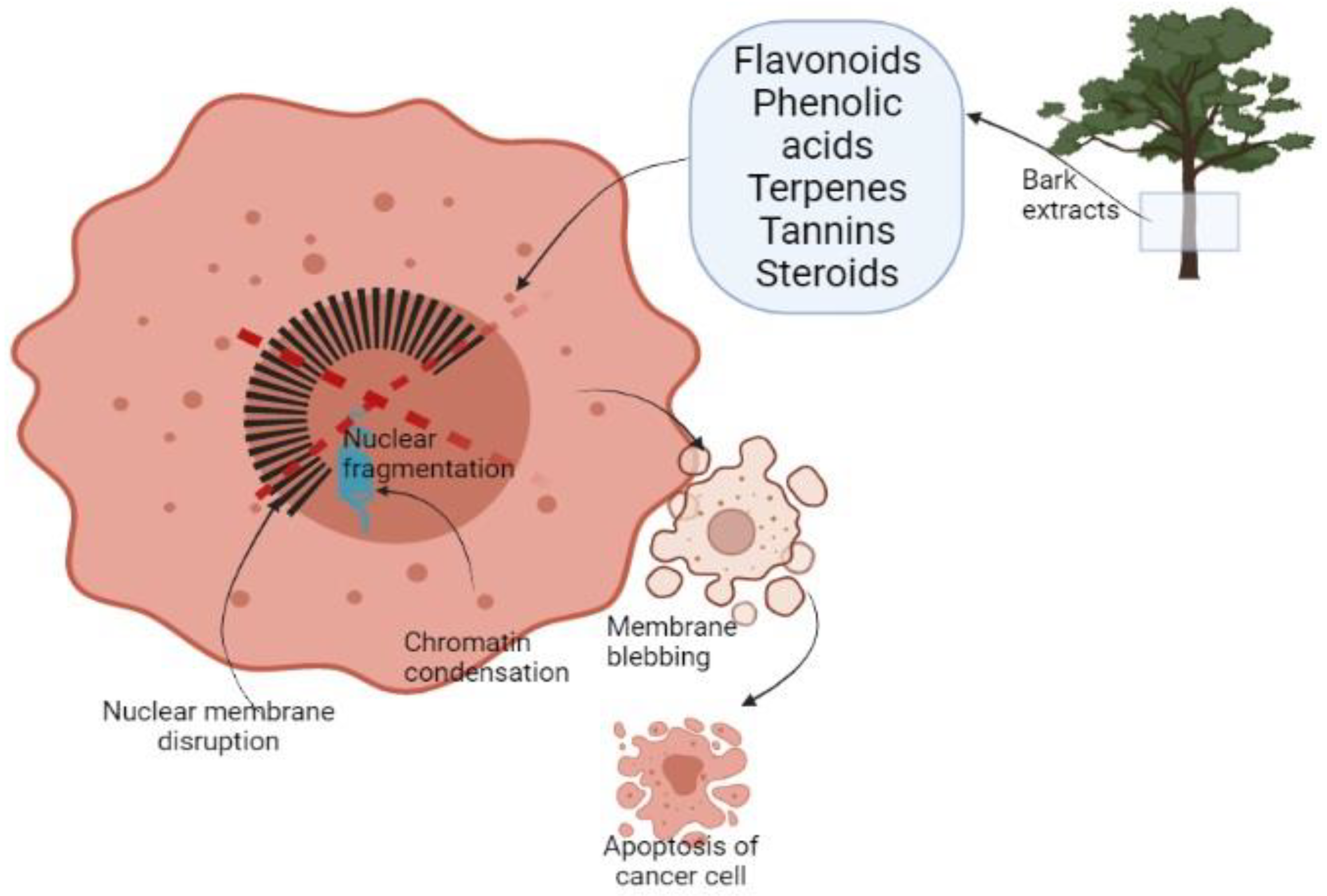 Plants 10 01895 g001