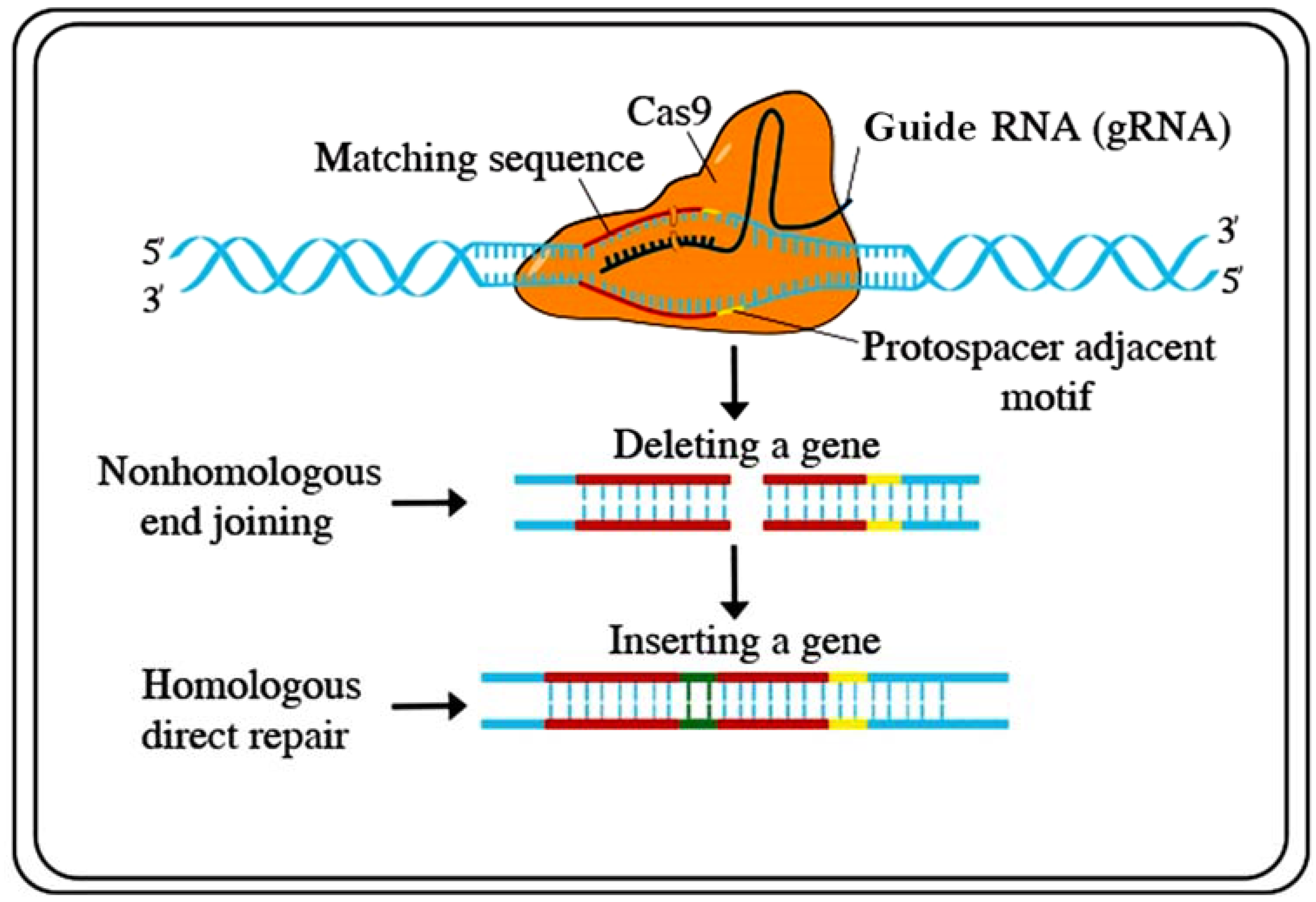 Plants 10 01910 g003