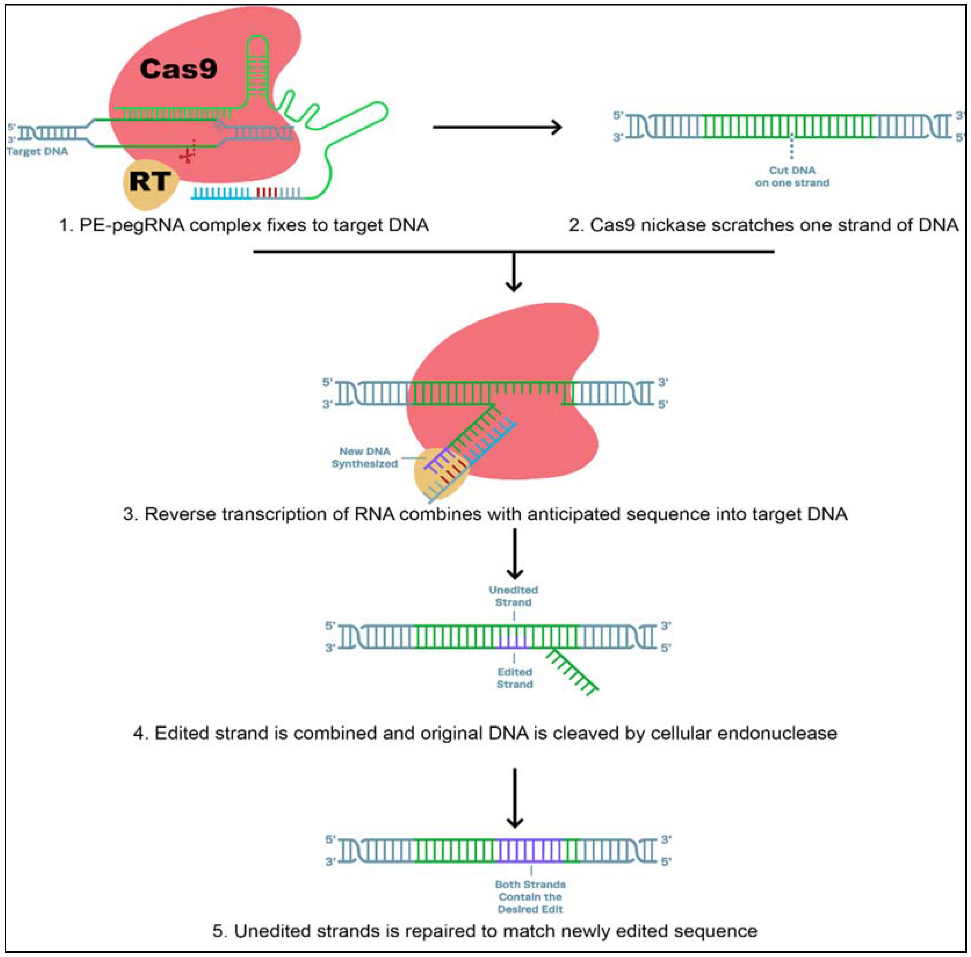 Plants 10 01910 g004