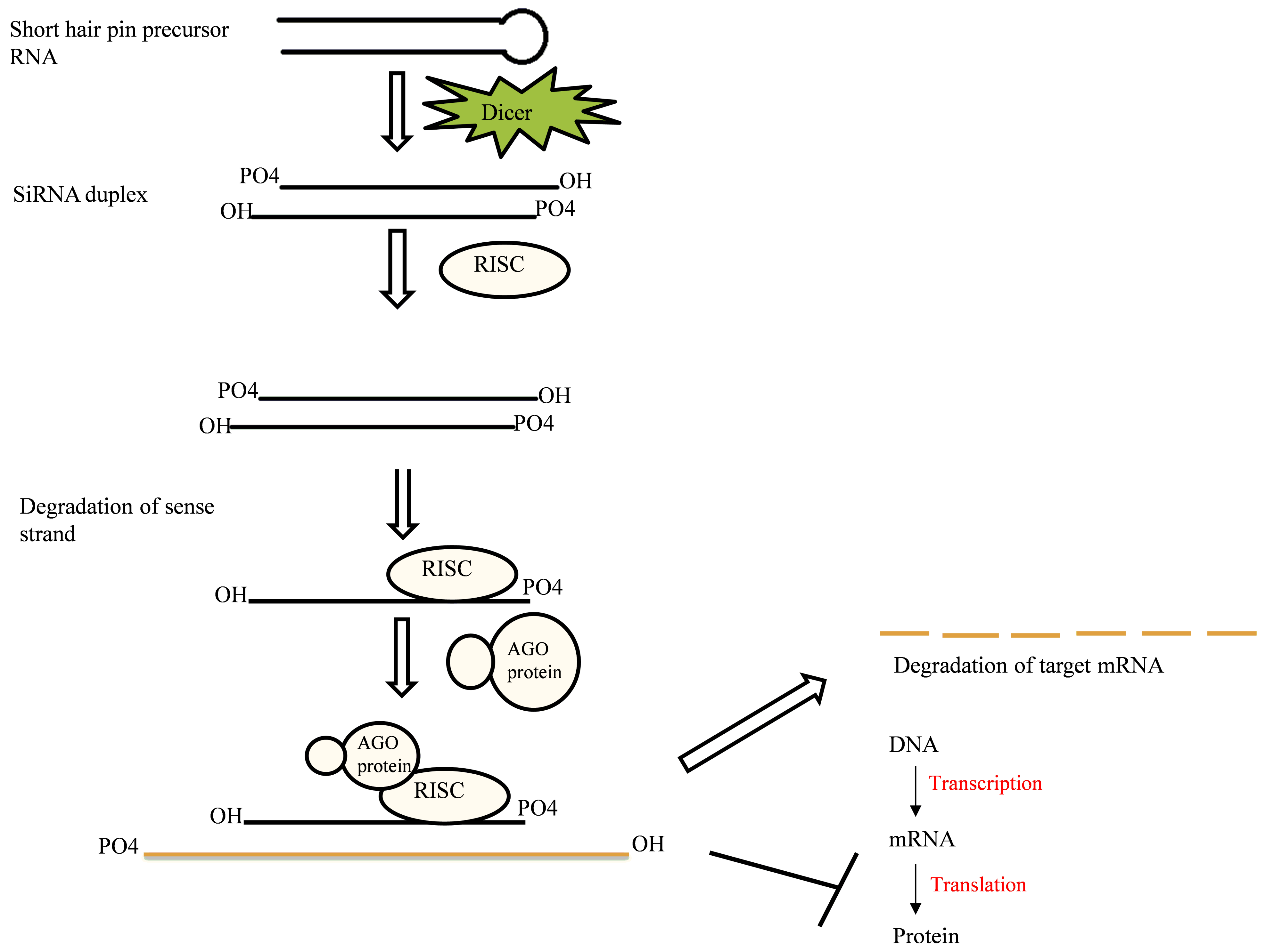 Plants 10 01914 g002