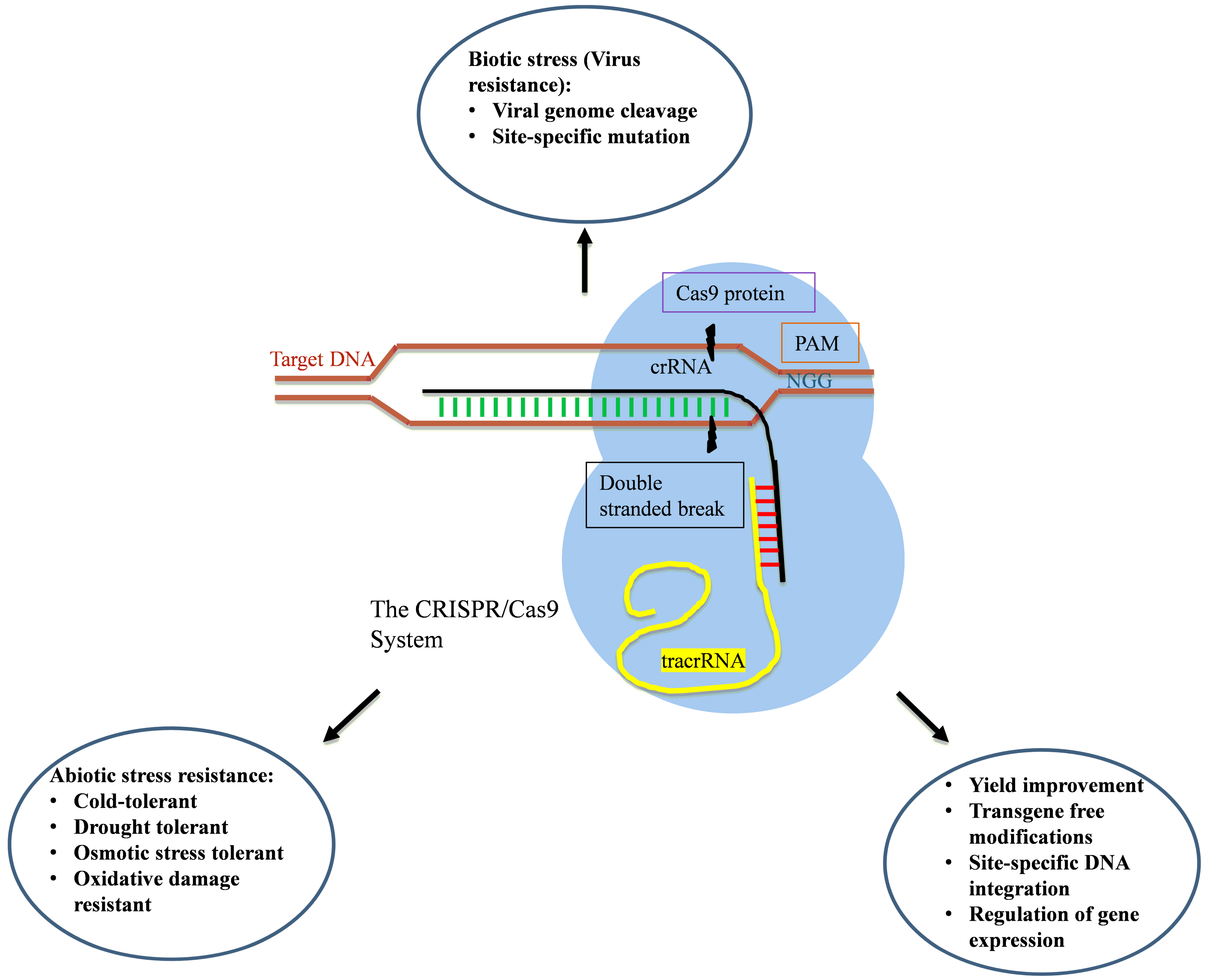 Plants 10 01914 g003