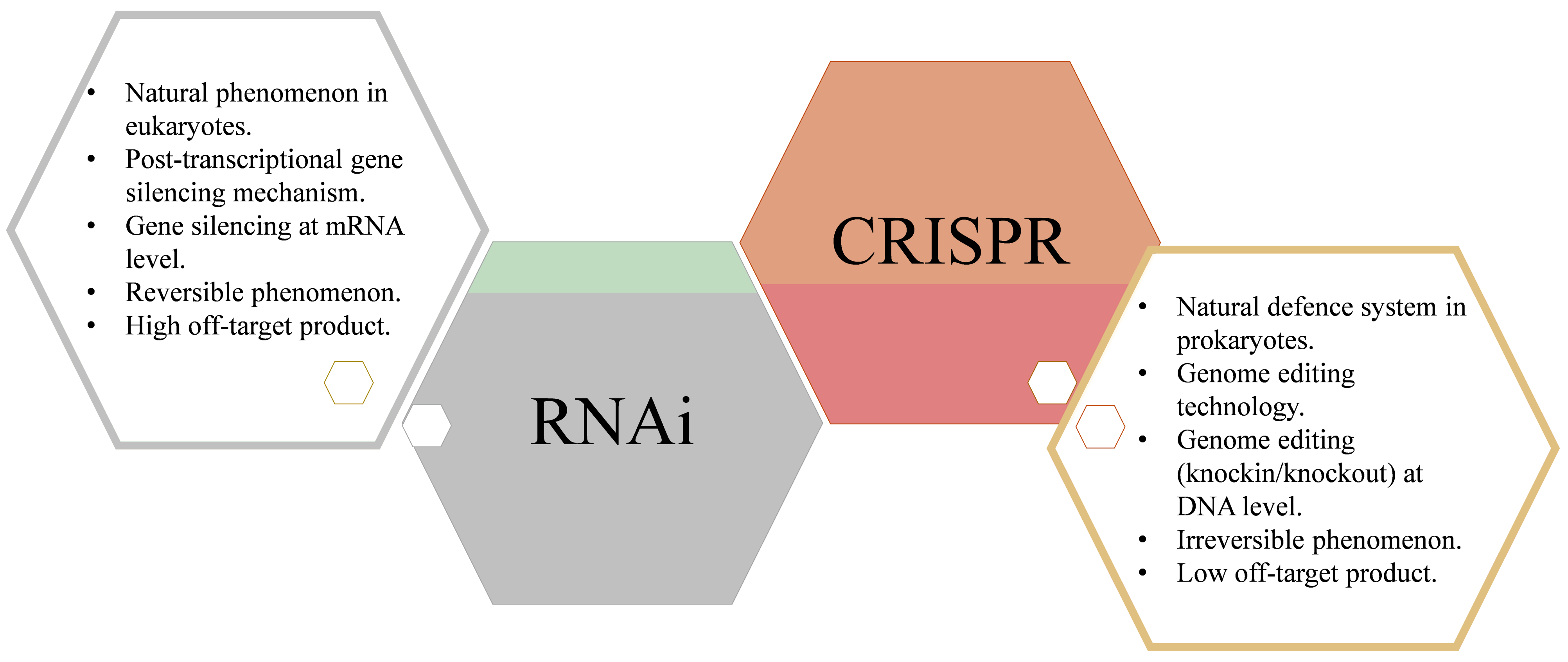 Plants 10 01914 g004