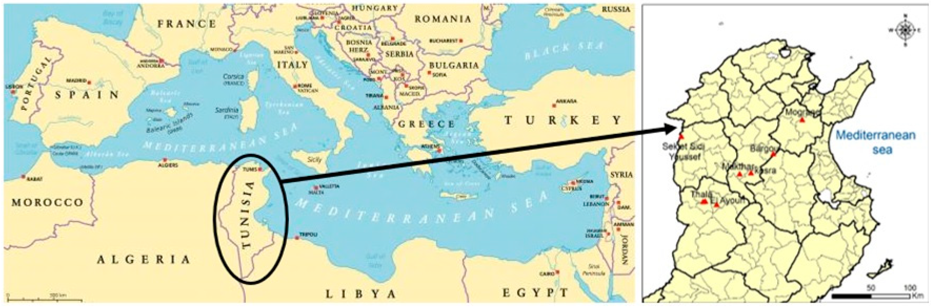 Plants 10 01923 g001 Plants 10 01923 g001