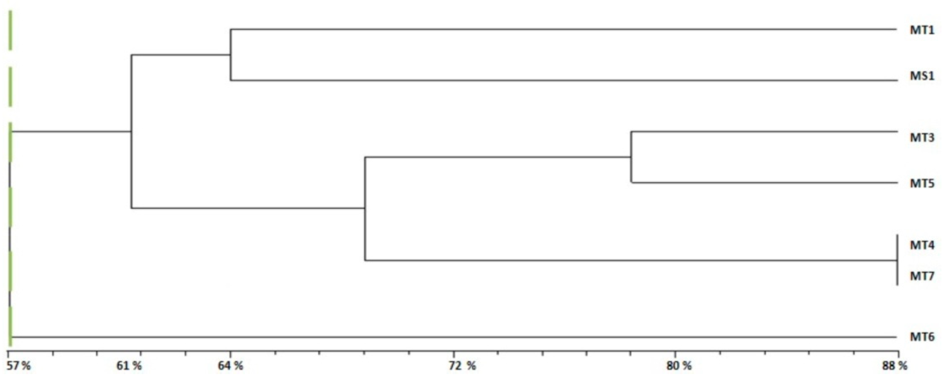 Plants 10 01923 g003 Plants 10 01923 g003