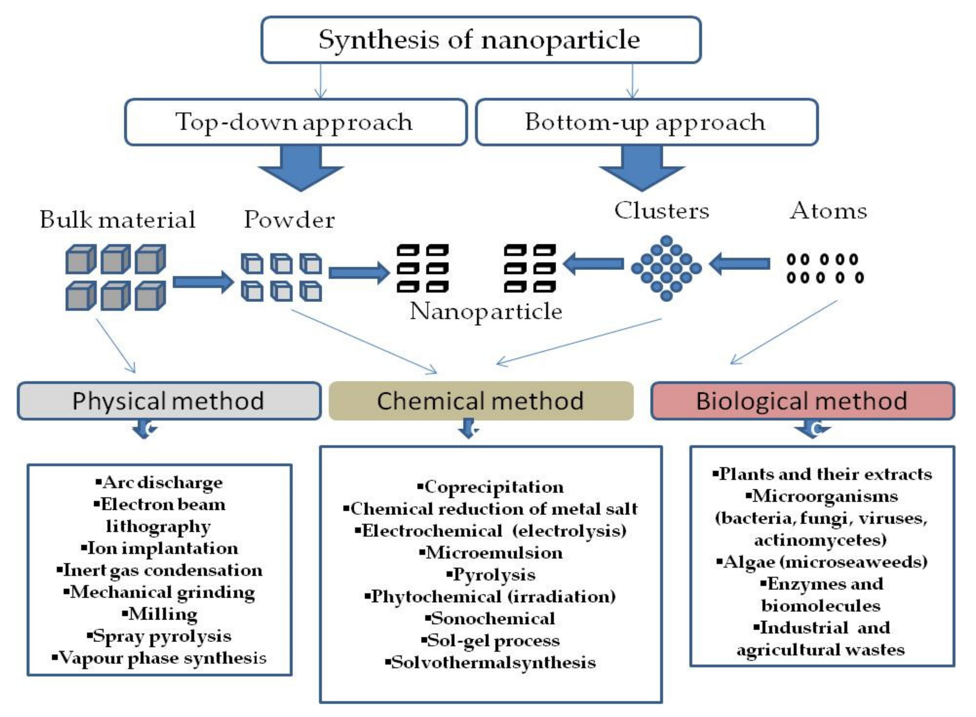 Plants 10 01929 g001