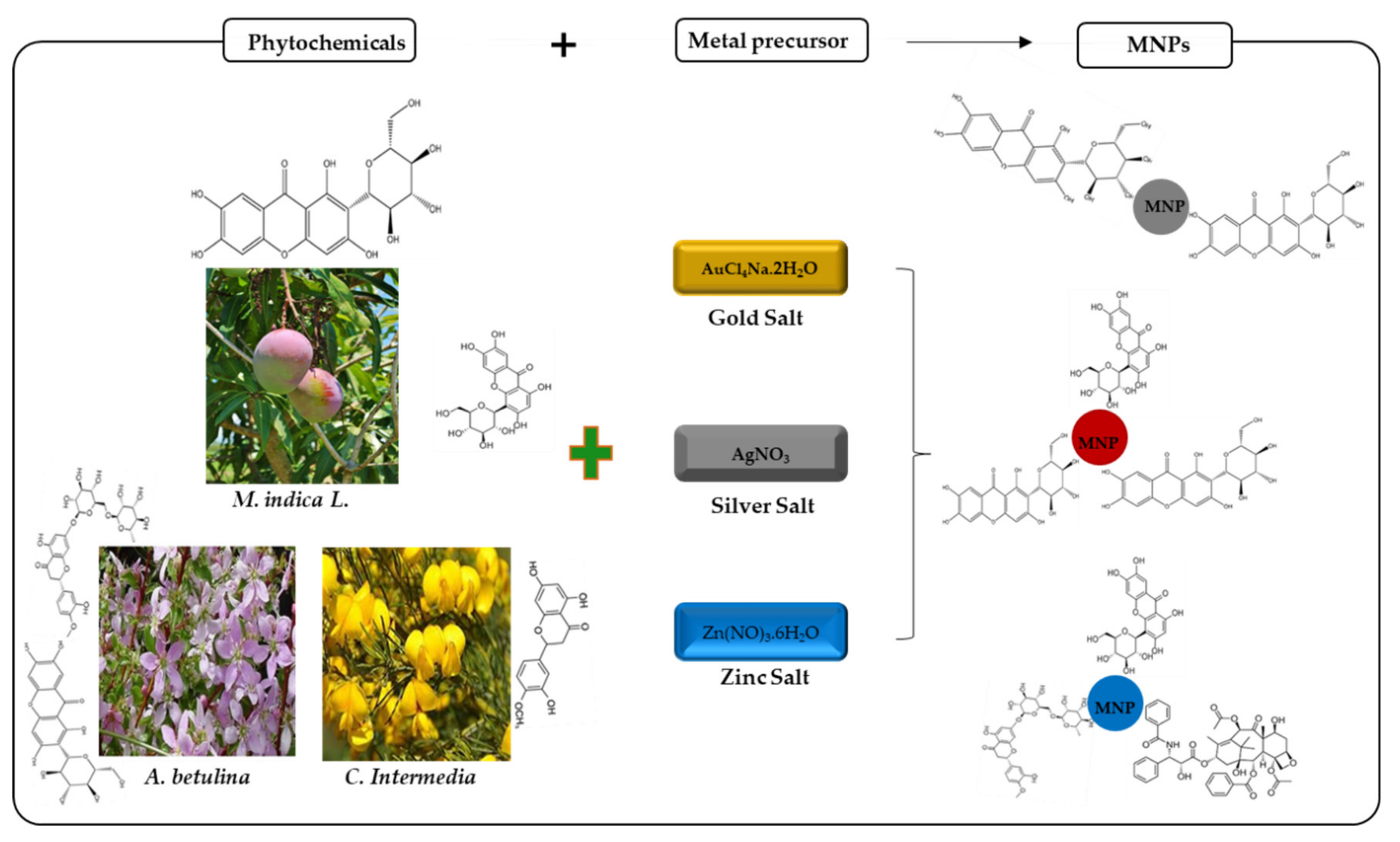 Plants 10 01929 g002