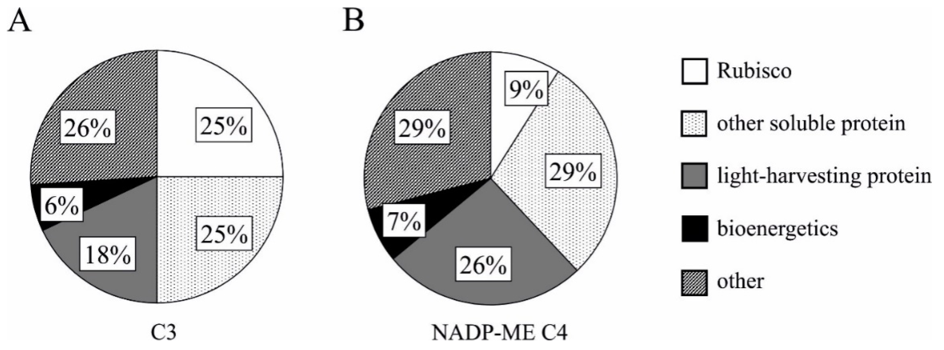 Plants 10 01932 g002