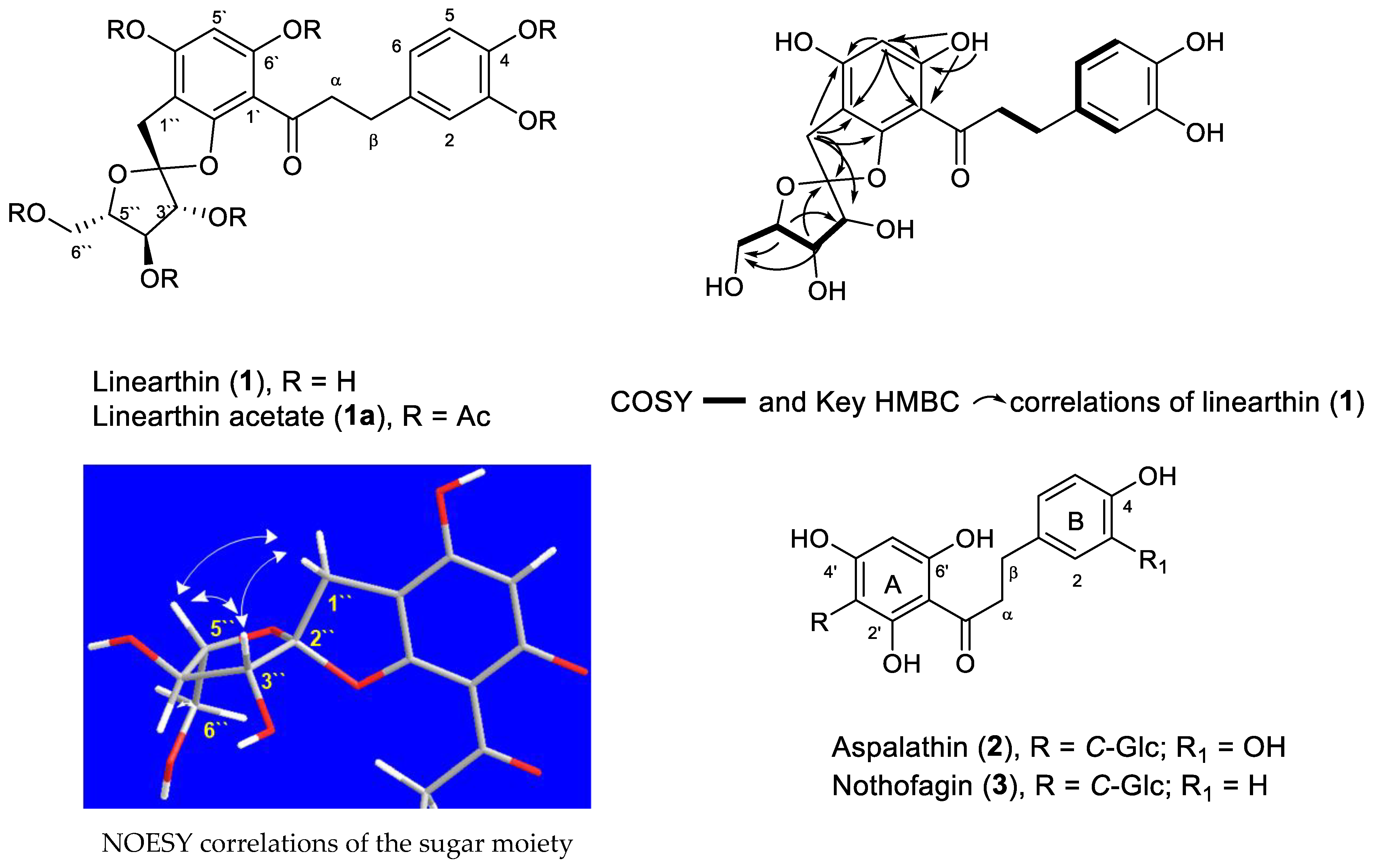 Plants 10 01936 g001