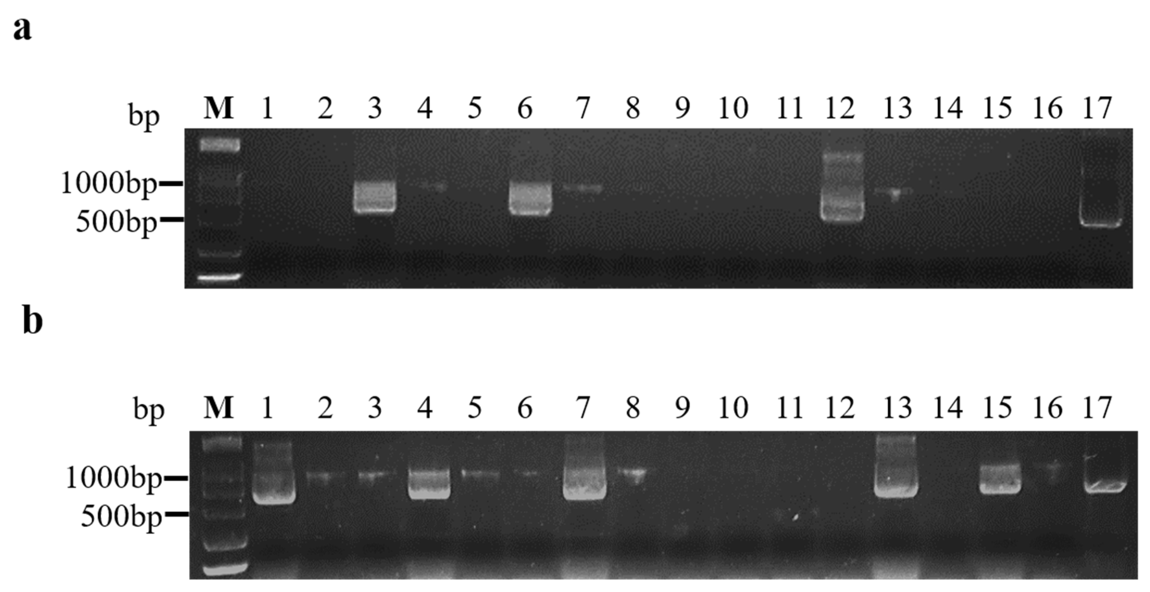 Plants 10 01944 g001
