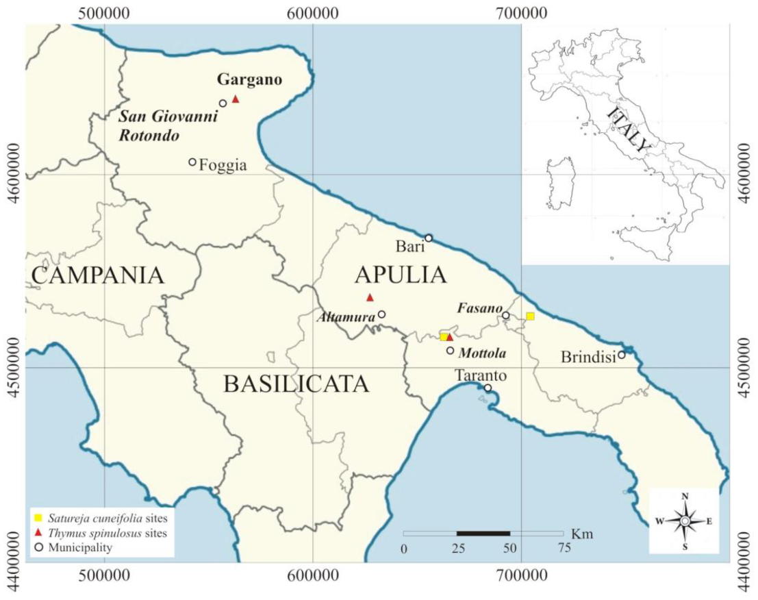 Plants 10 01952 g001