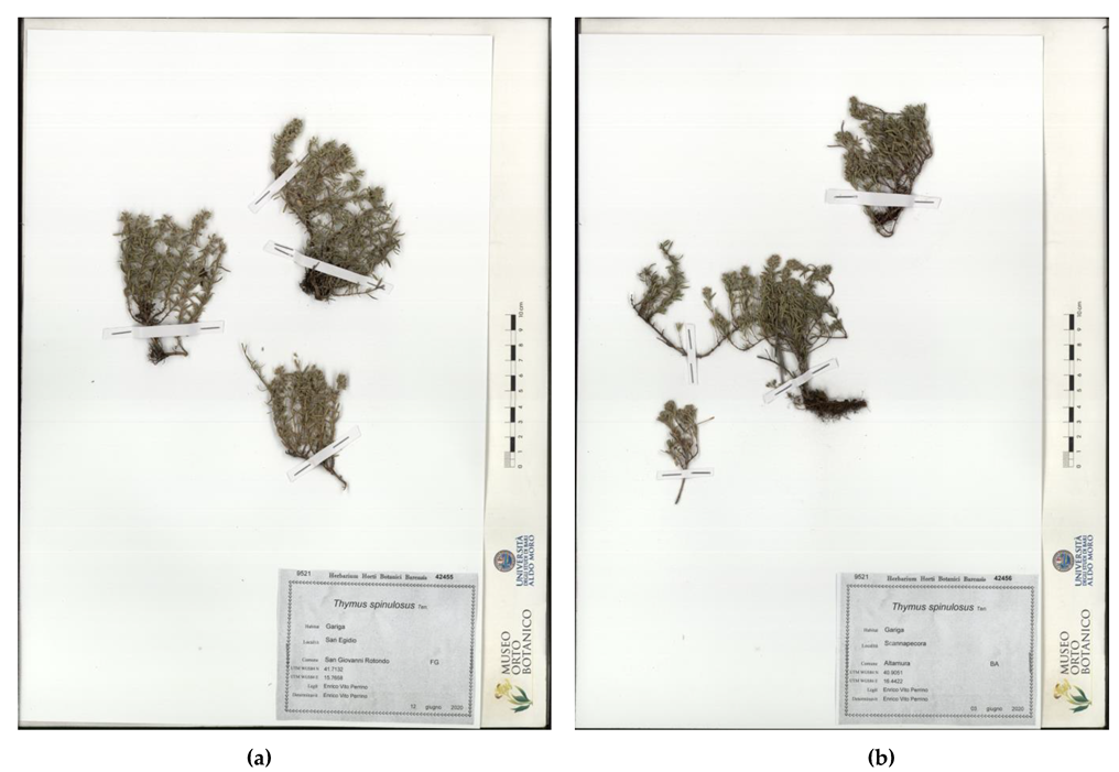 Plants 10 01952 g005