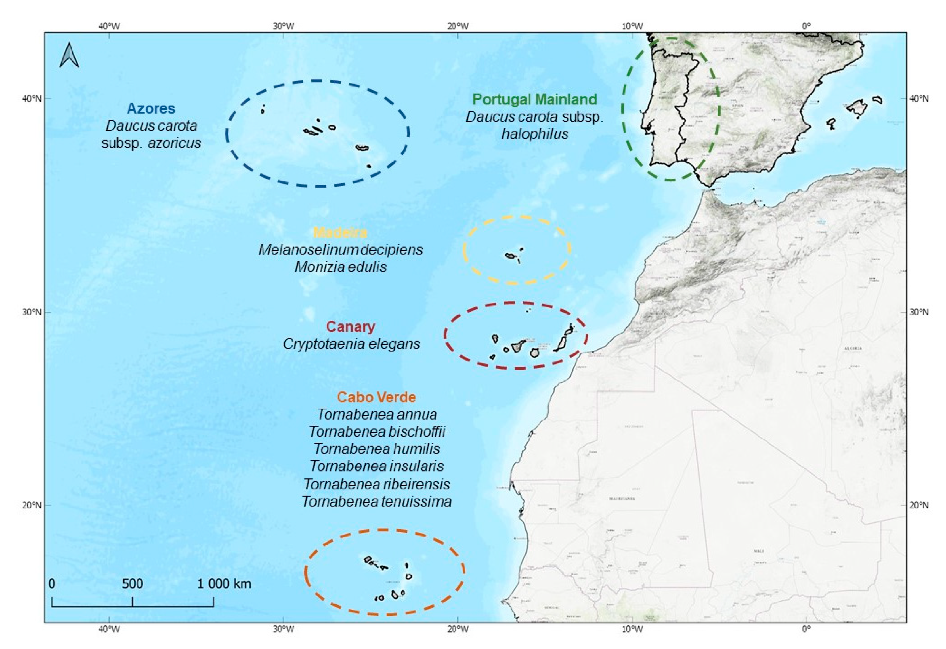 Plants 10 01954 g005