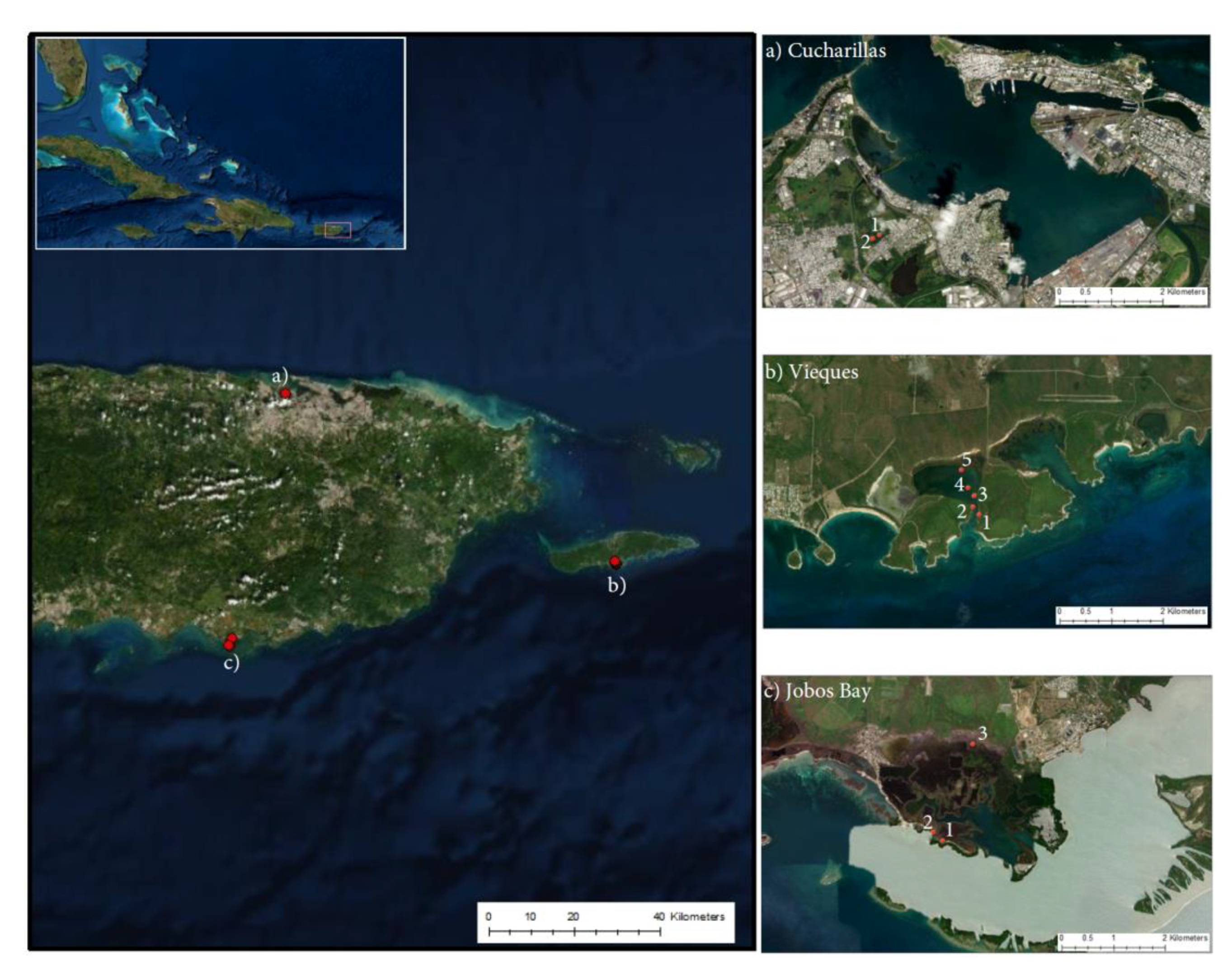 Plants 10 01965 g007