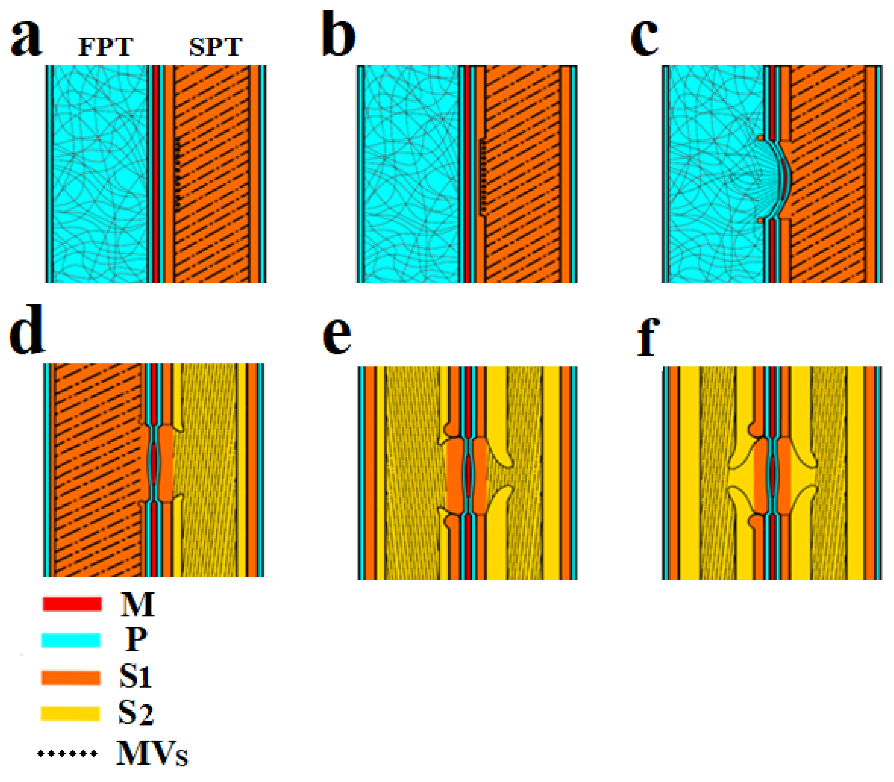 Plants 10 01968 g003 Plants 10 01968 g003