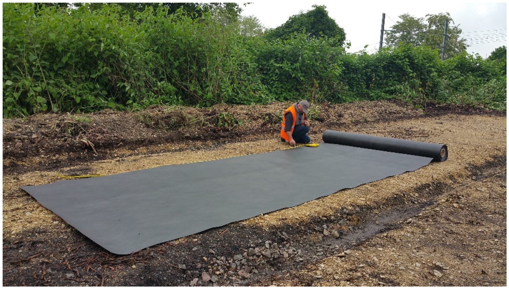 Plants 10 02152 g001