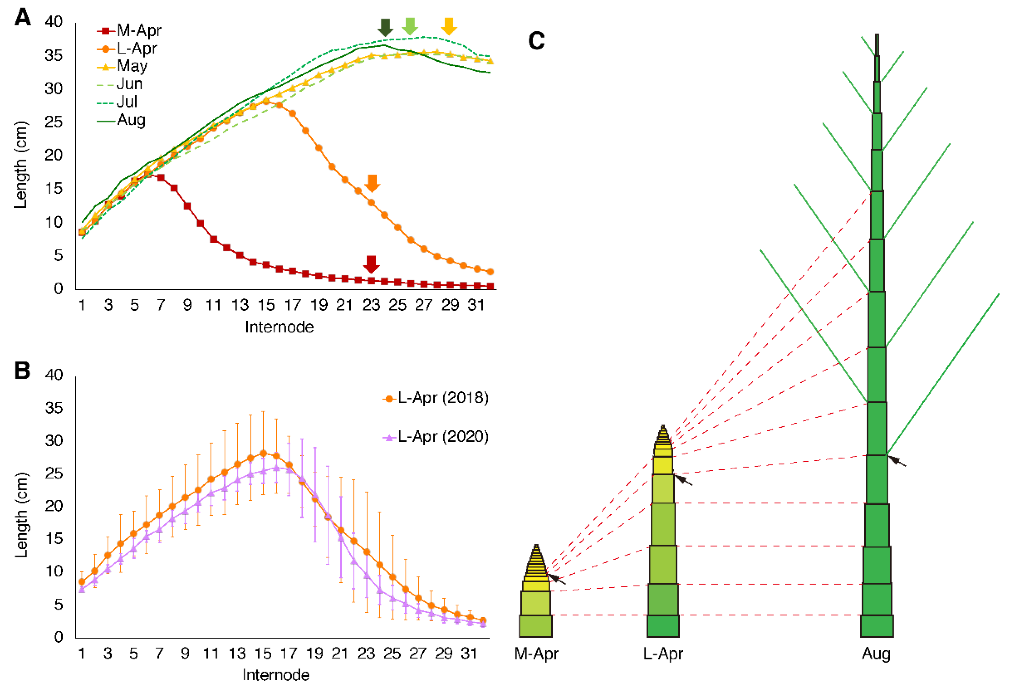 Plants 10 02237 g001