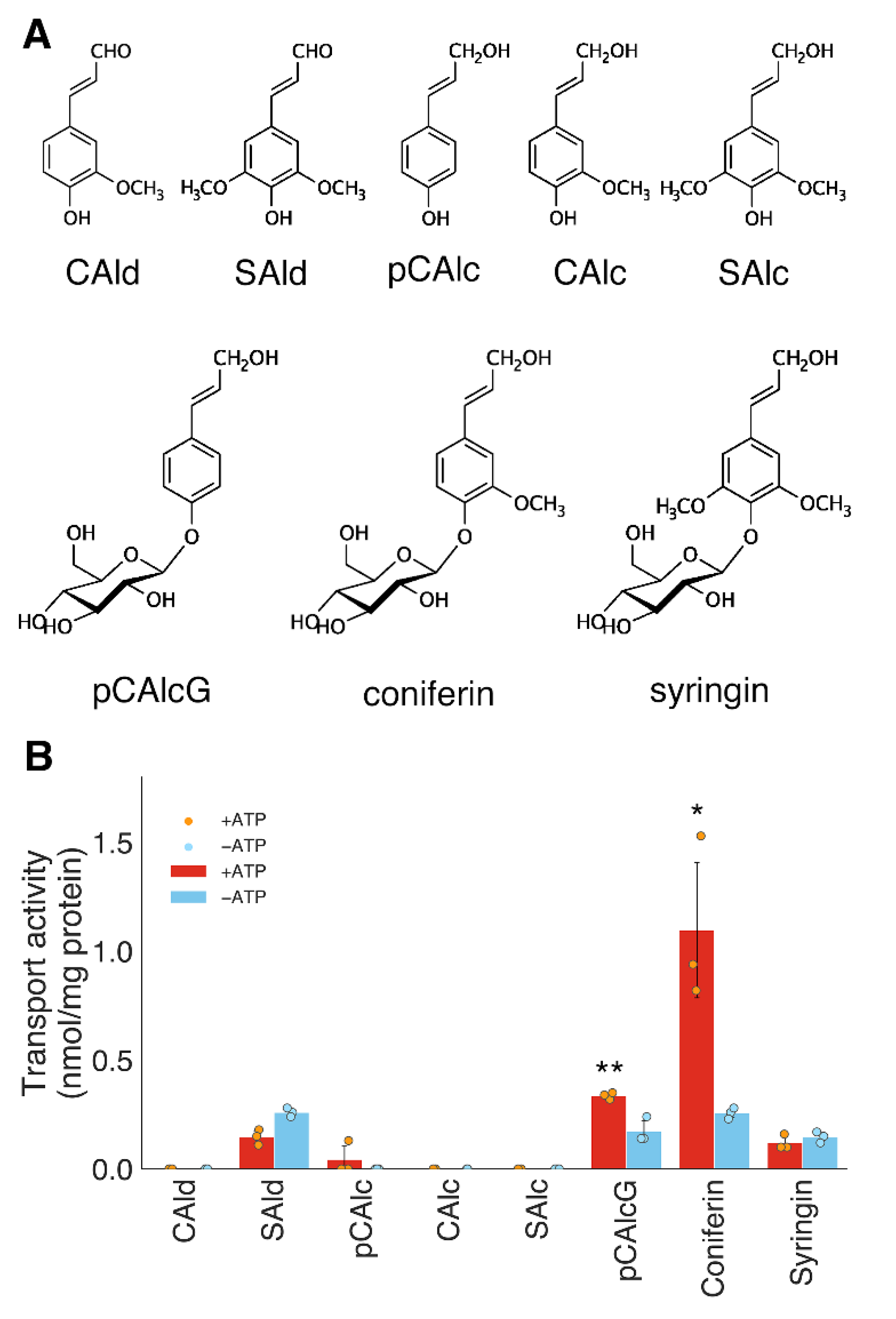 Plants 10 02237 g003