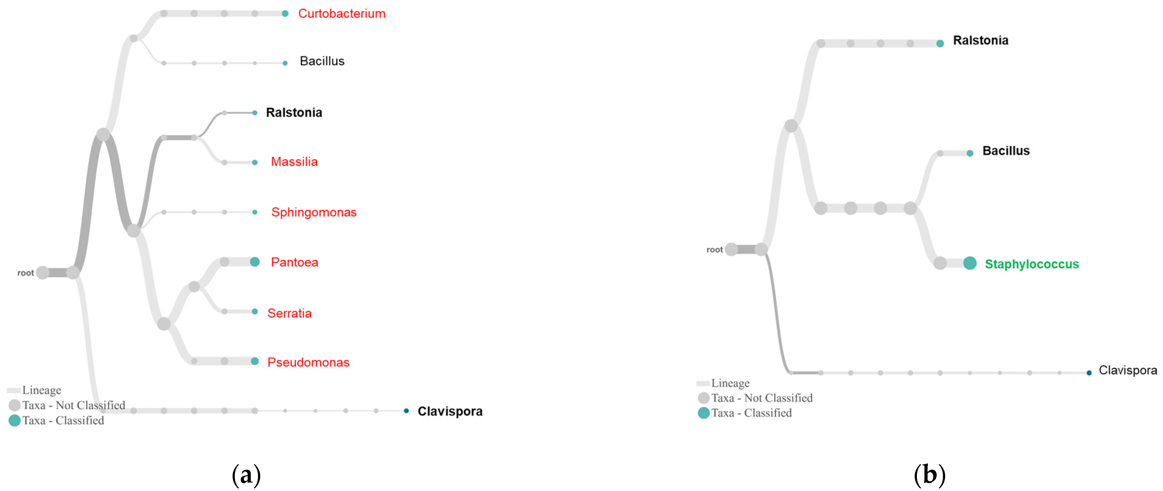 Plants 10 02244 g006