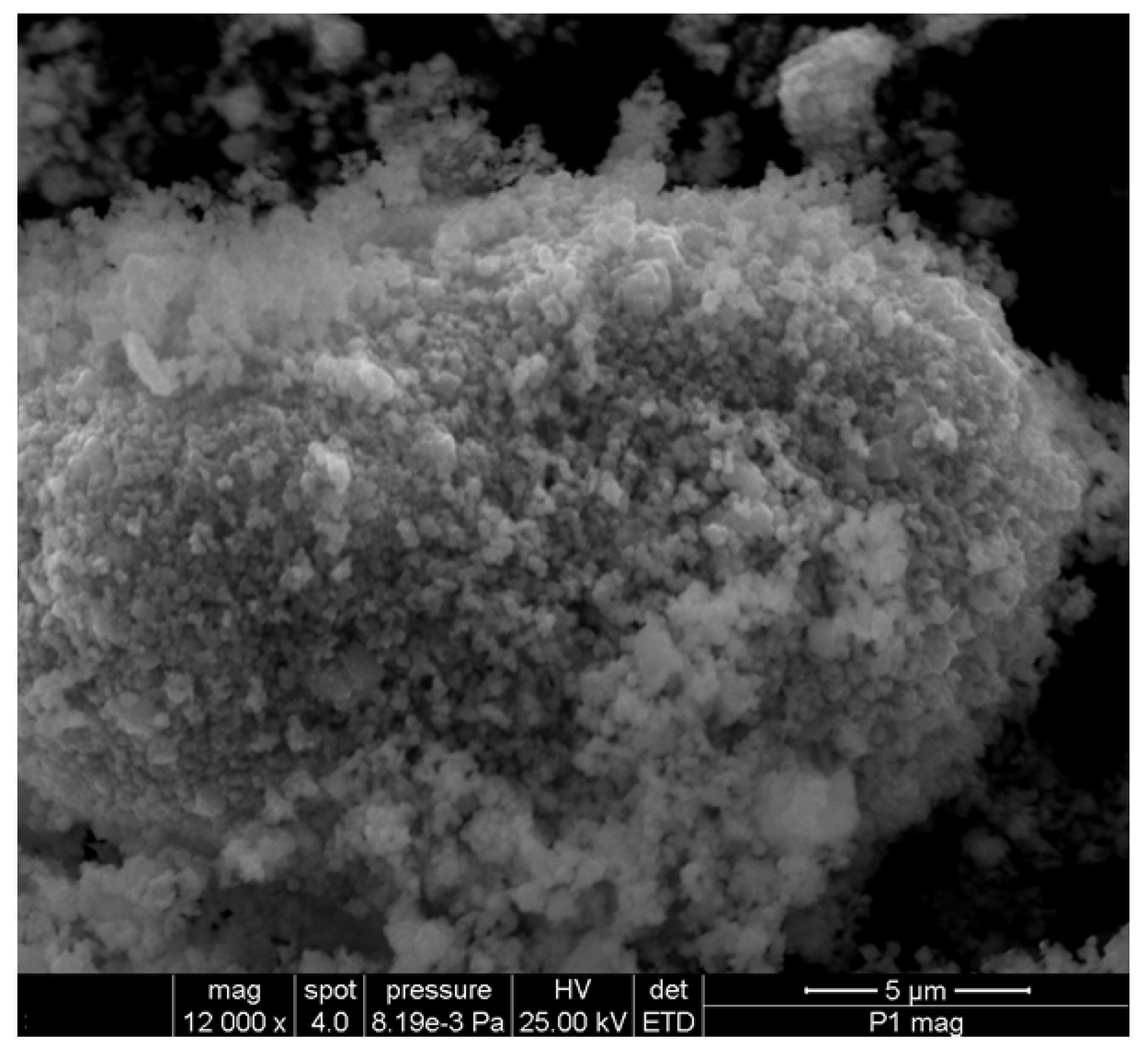 Plants 10 02245 g010