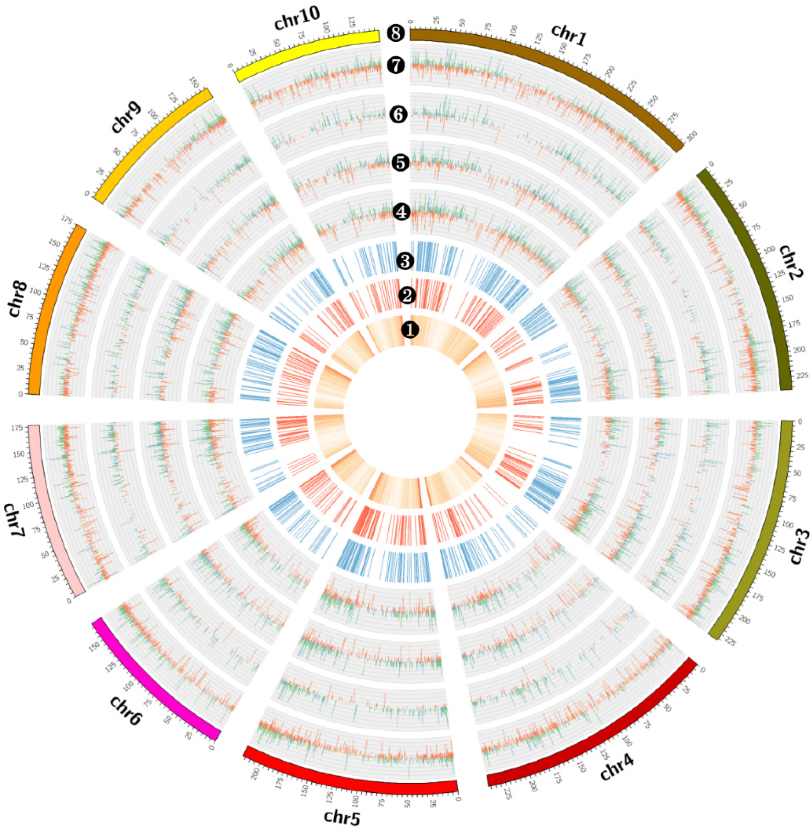 Plants 10 02257 g004