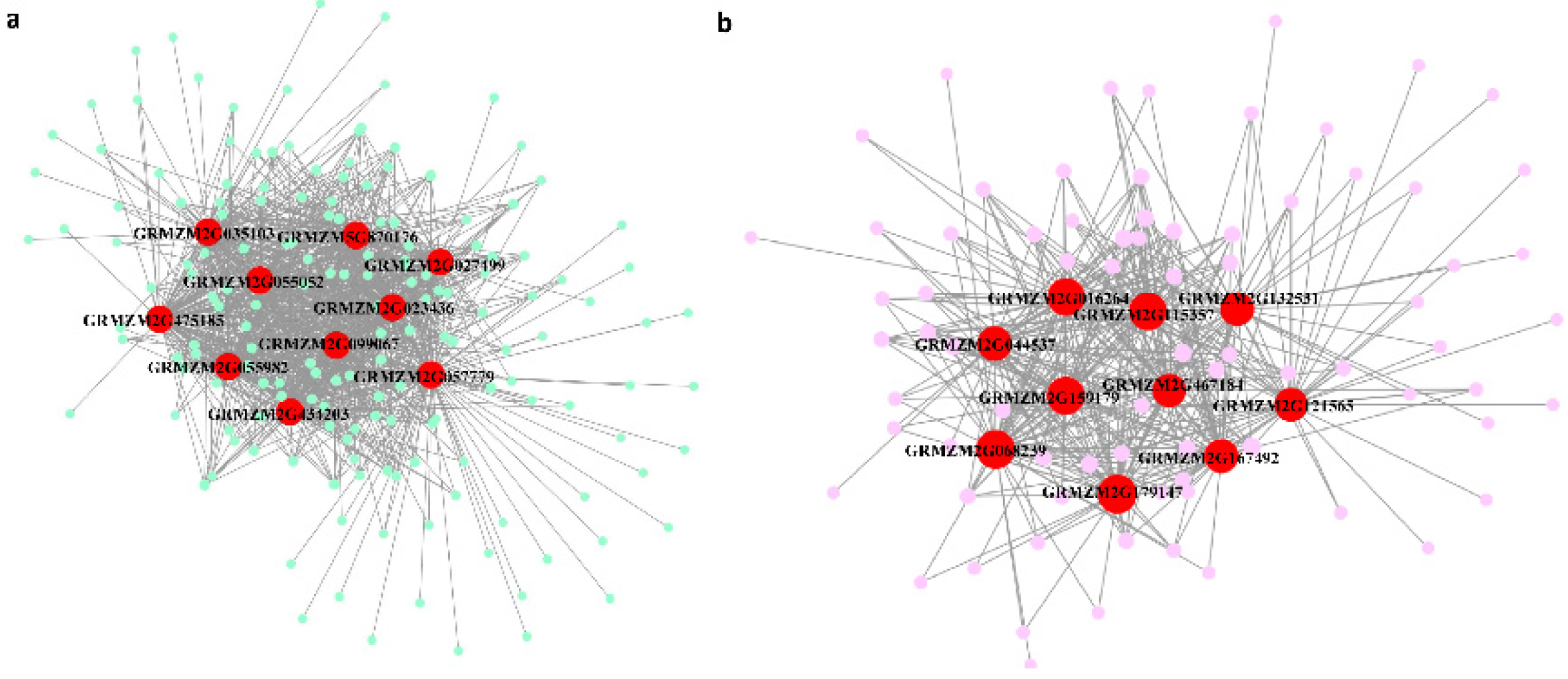 Plants 10 02257 g008