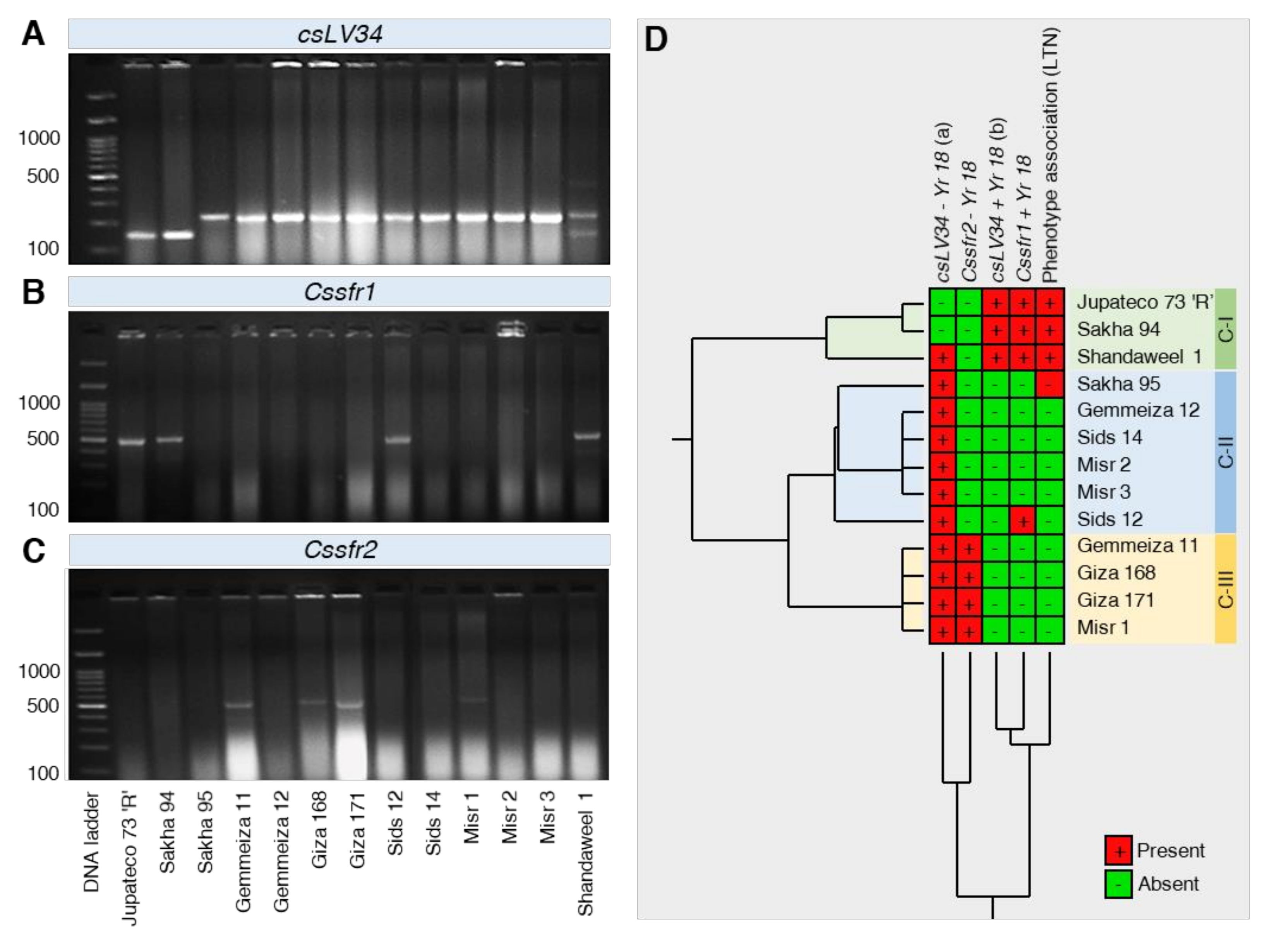 Plants 10 02262 g006