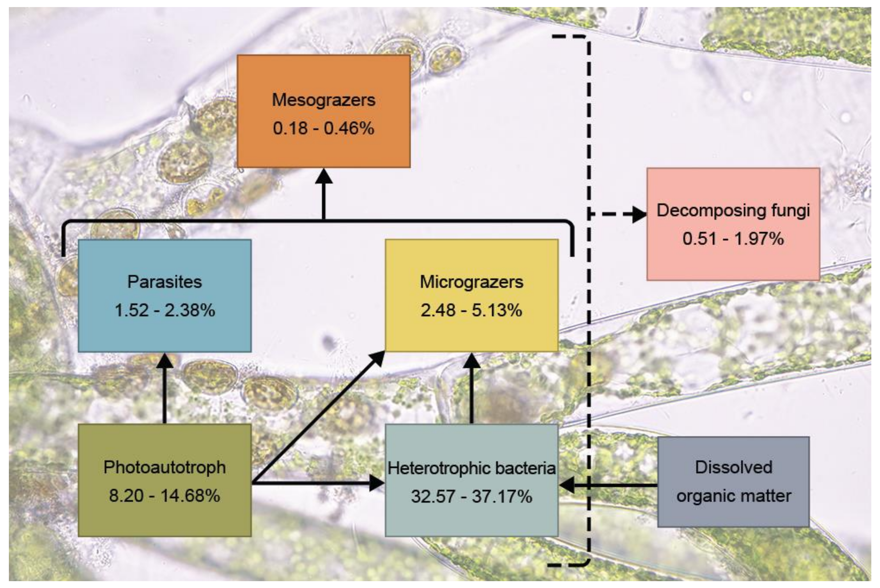 Plants 10 02266 g007